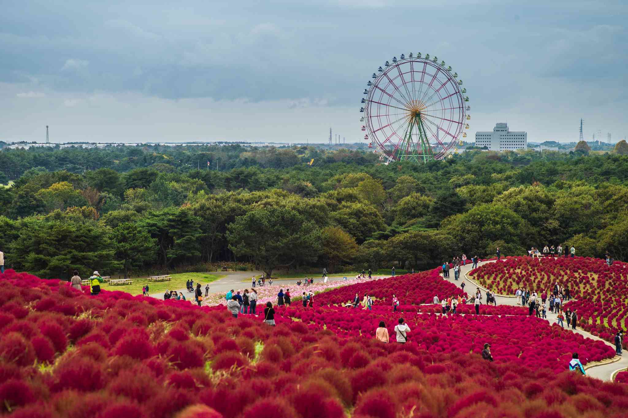 Scenic view of Tokyo - private day trip from Tokyo - photo 2