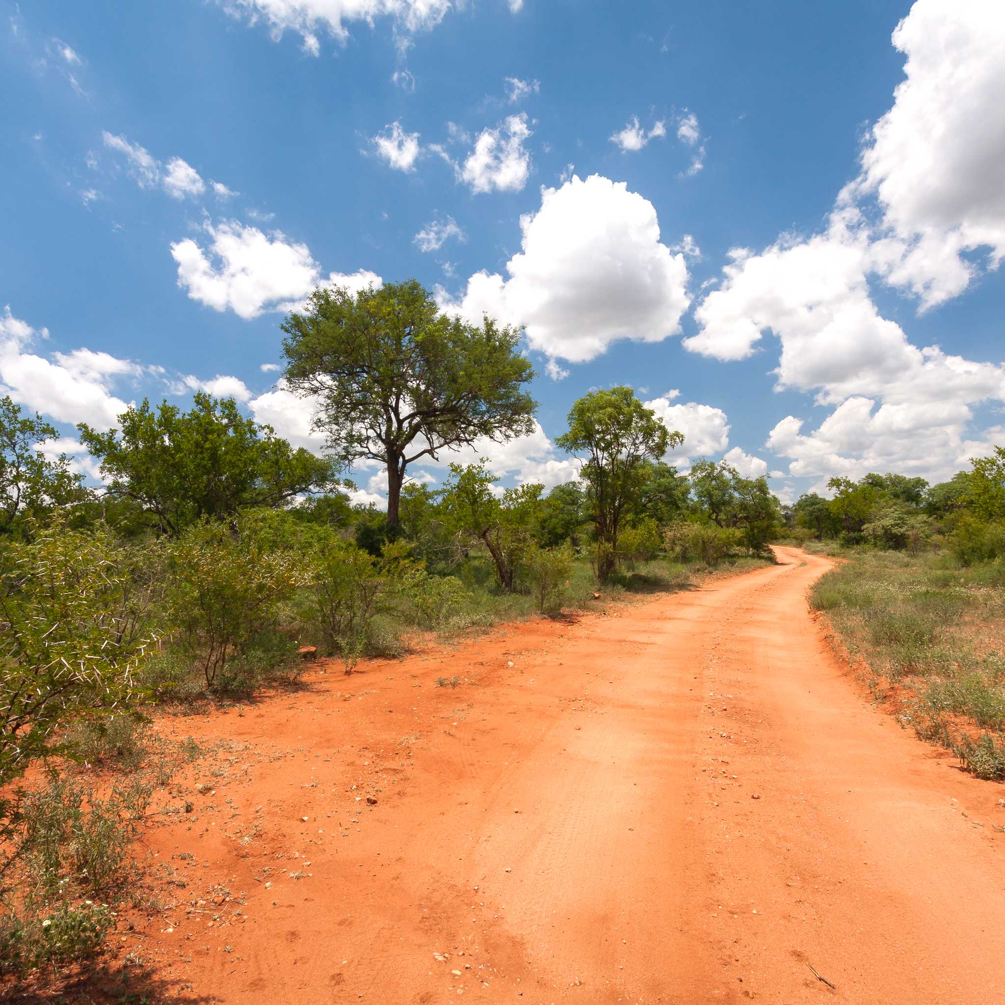 Hoedspruit