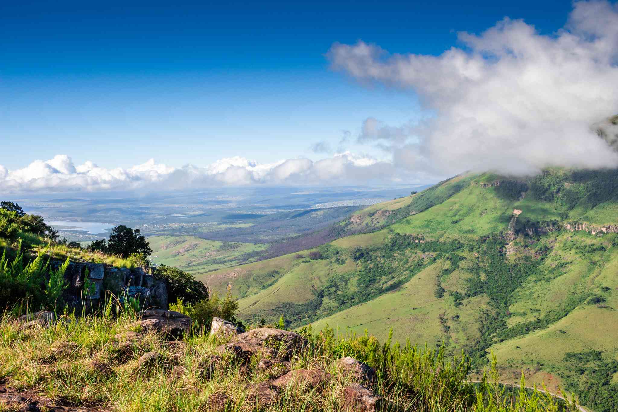 Vue pittoresque de Port Elizabeth - excursion privée d'une journée depuis Hogsback - photo 6