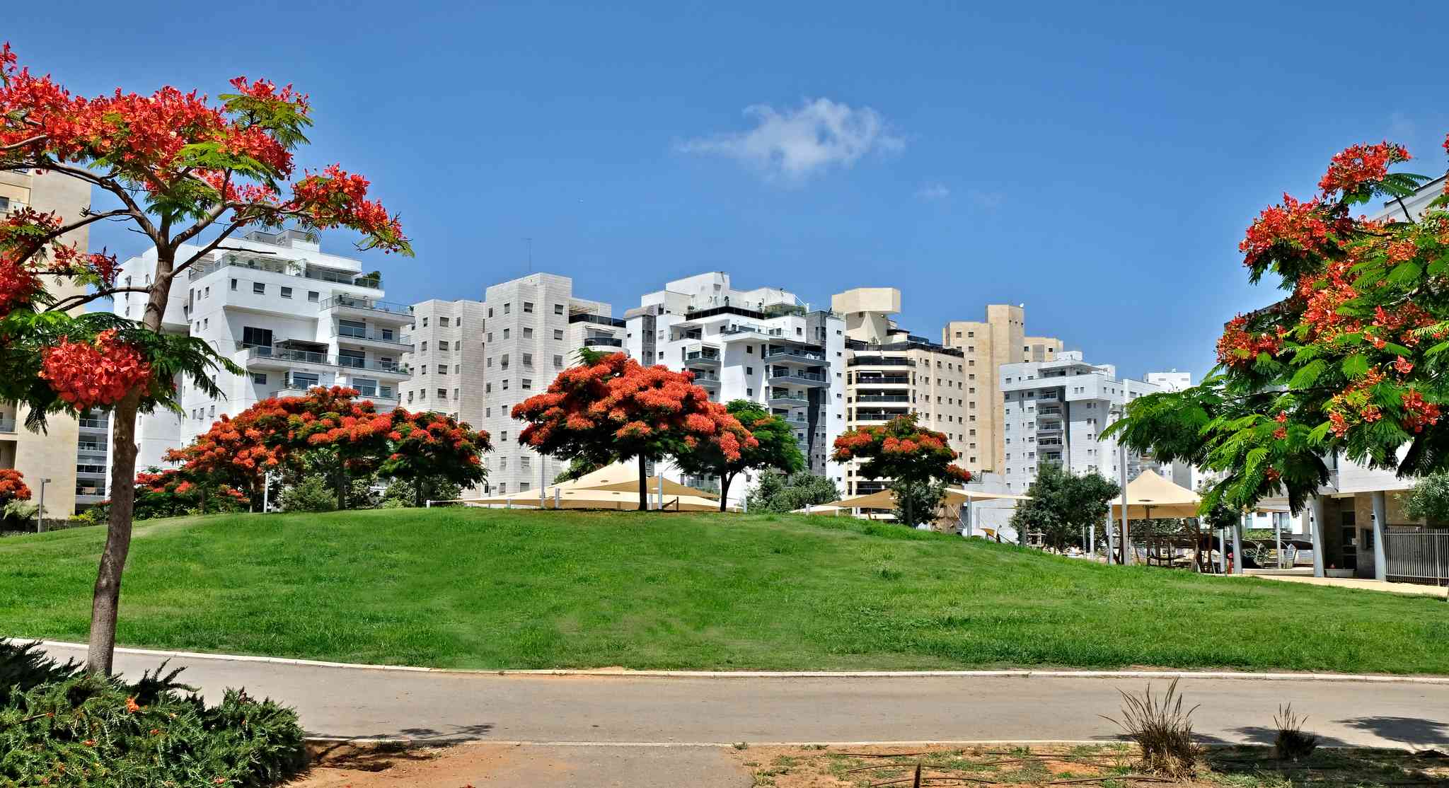 Vista panorámica de Holon - excursión privada de un día desde Jerusalén - foto 2