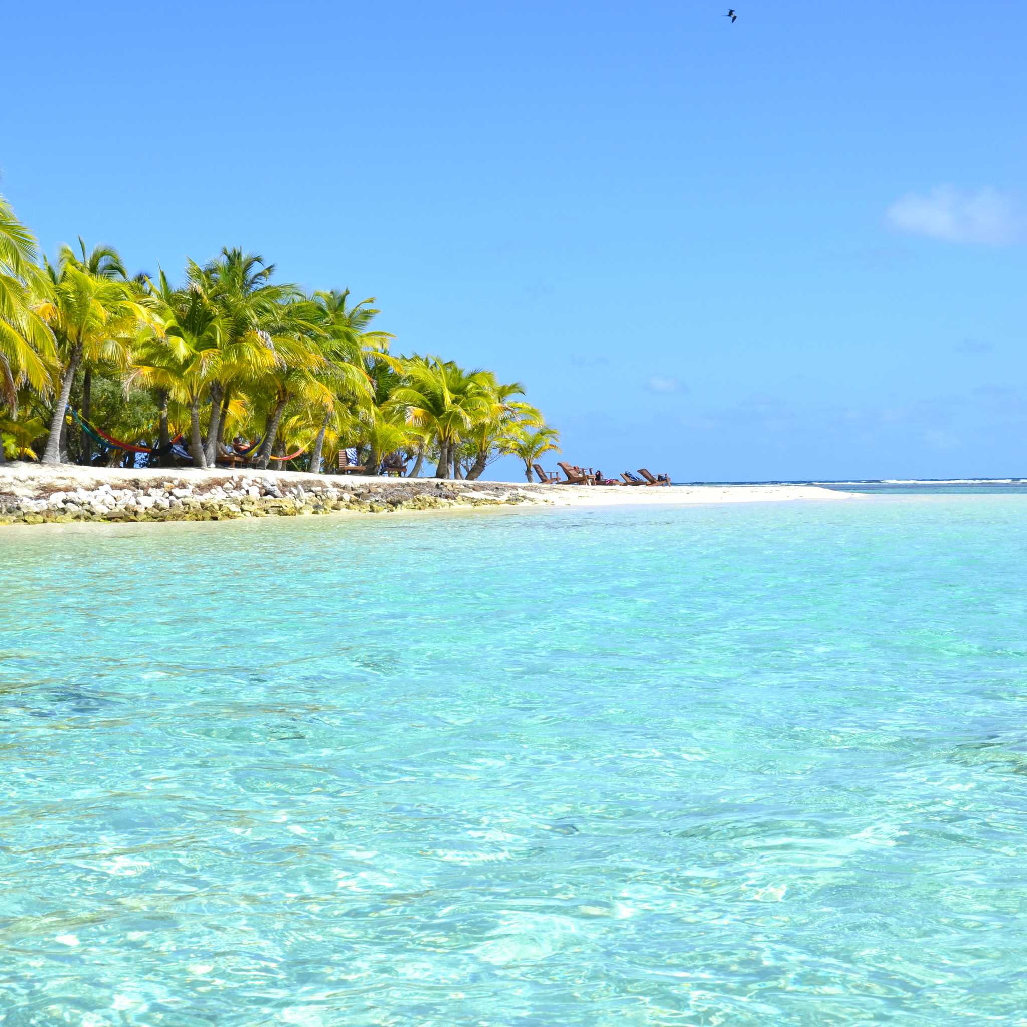 Private car transfers in Belize from Hopkins