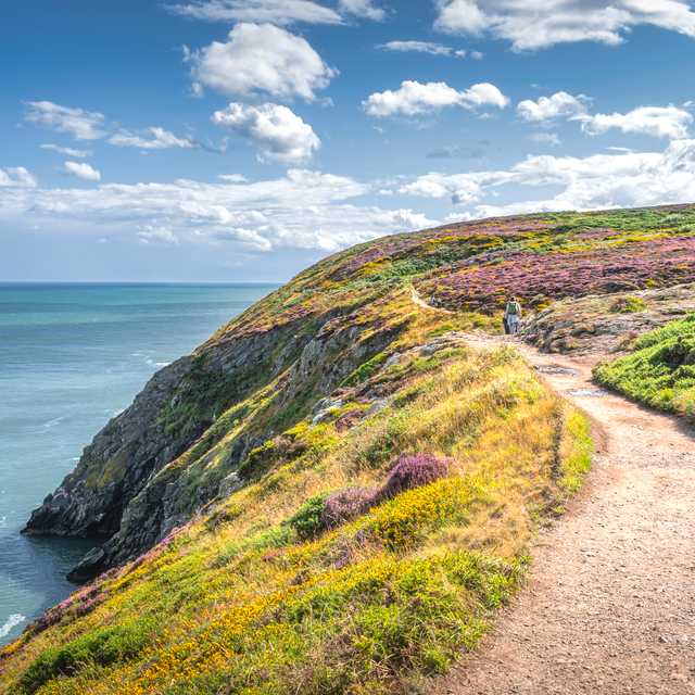 Dublin to Howth Cliff and Malahide: Private day trip
