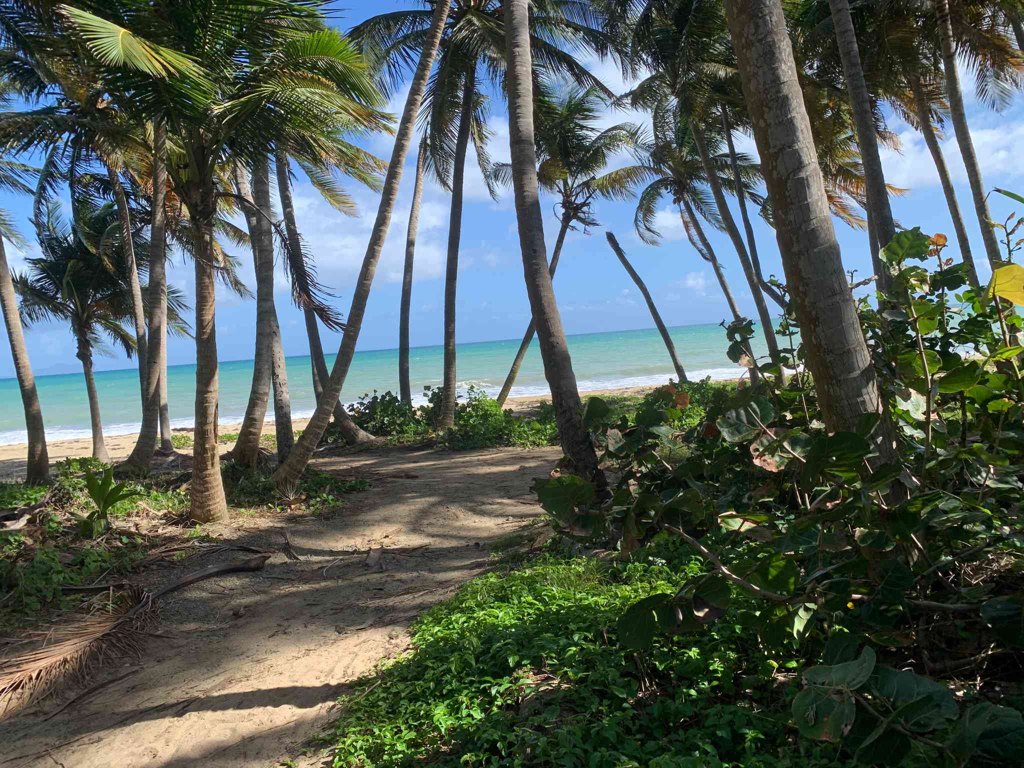Scenic view of Humacao - private day trip from San Juan - photo 2
