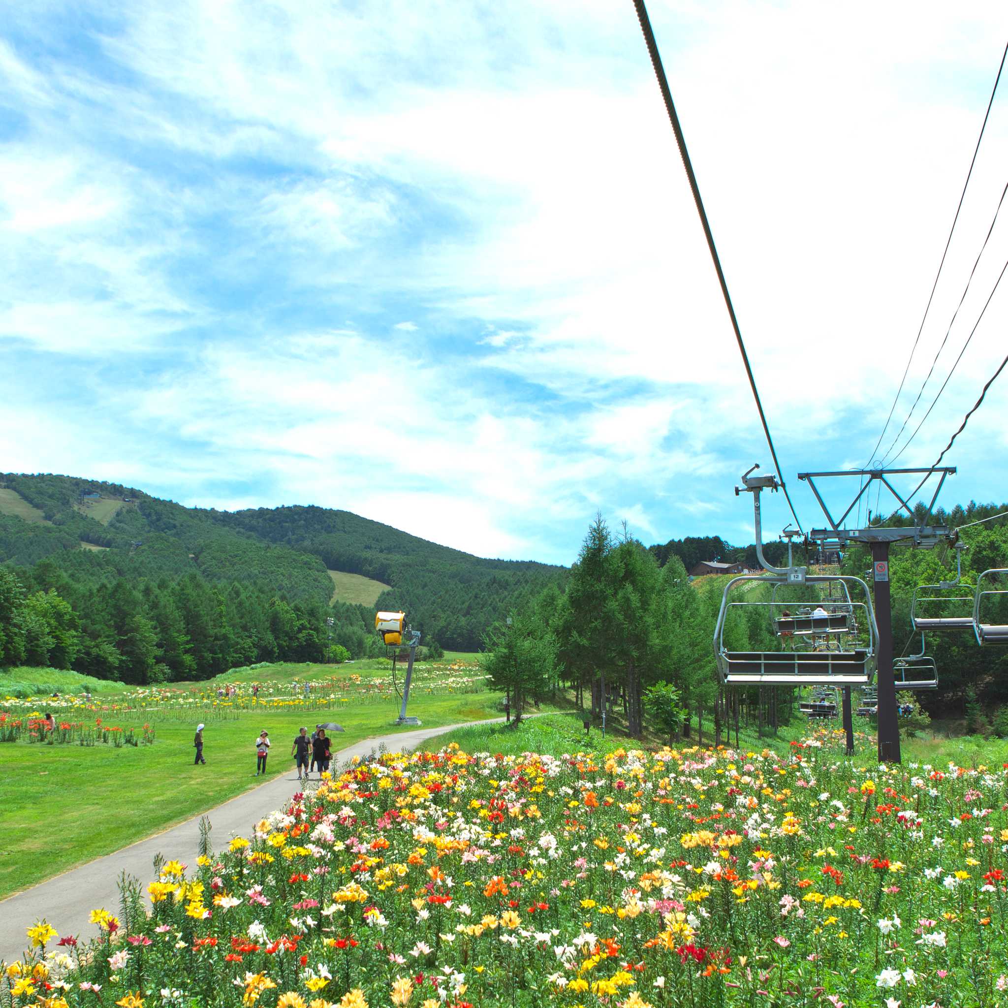 Hunter Mountain Resort