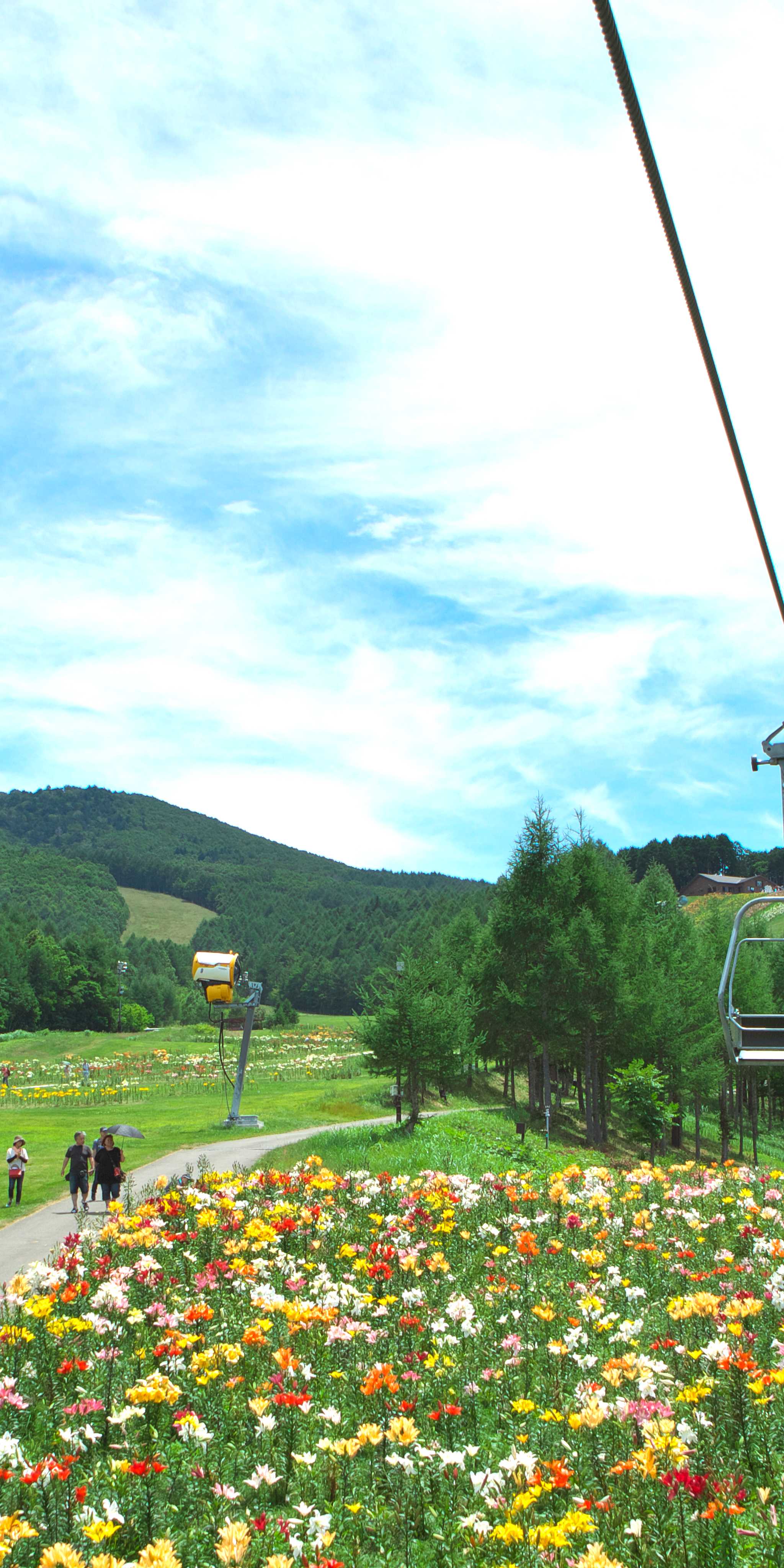 Hunter Mountain Resort