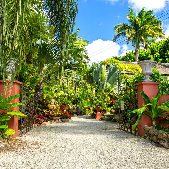 Day trip from Bridgetown to Barbados' Tropical Gardens