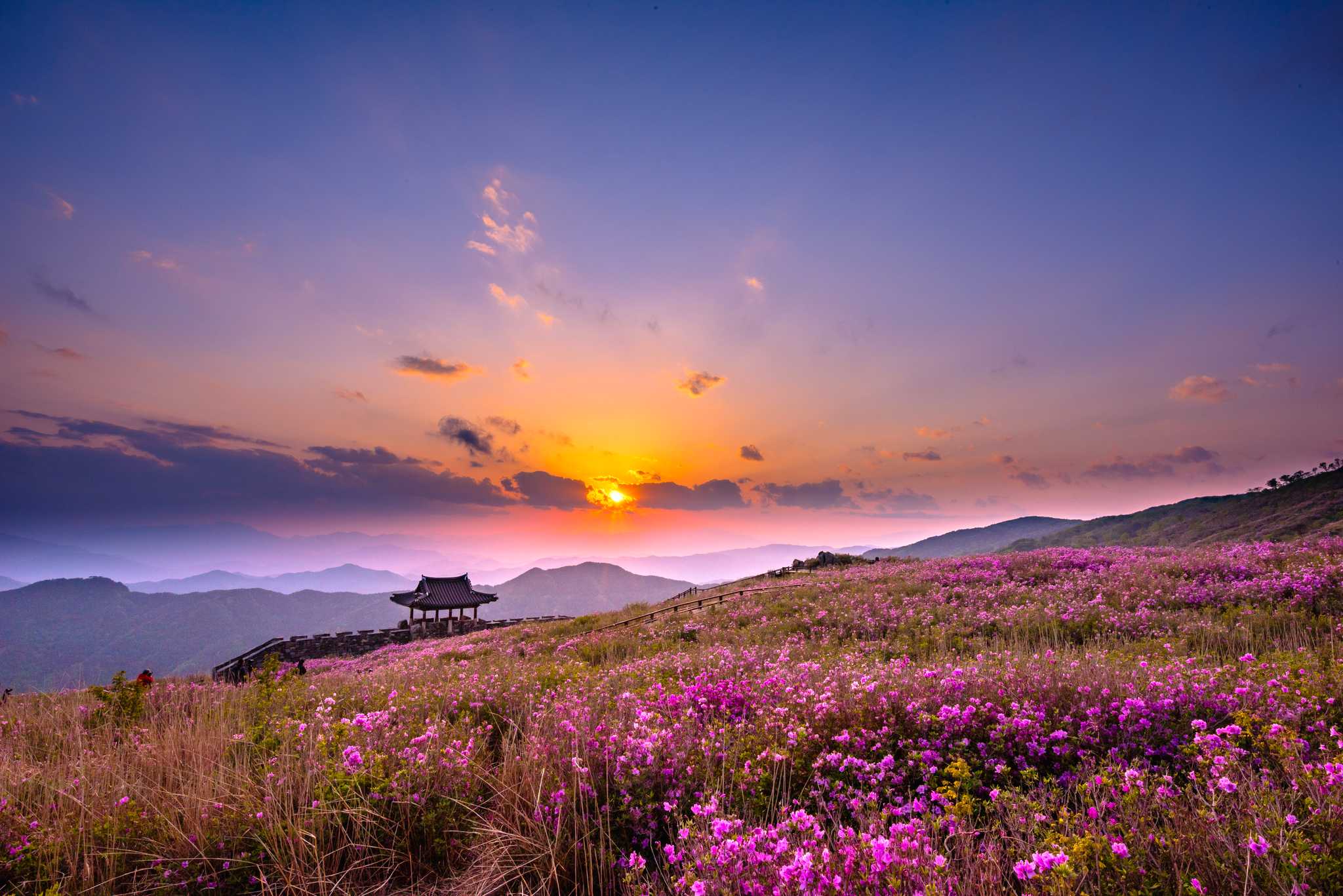 Private day trip option from Busan