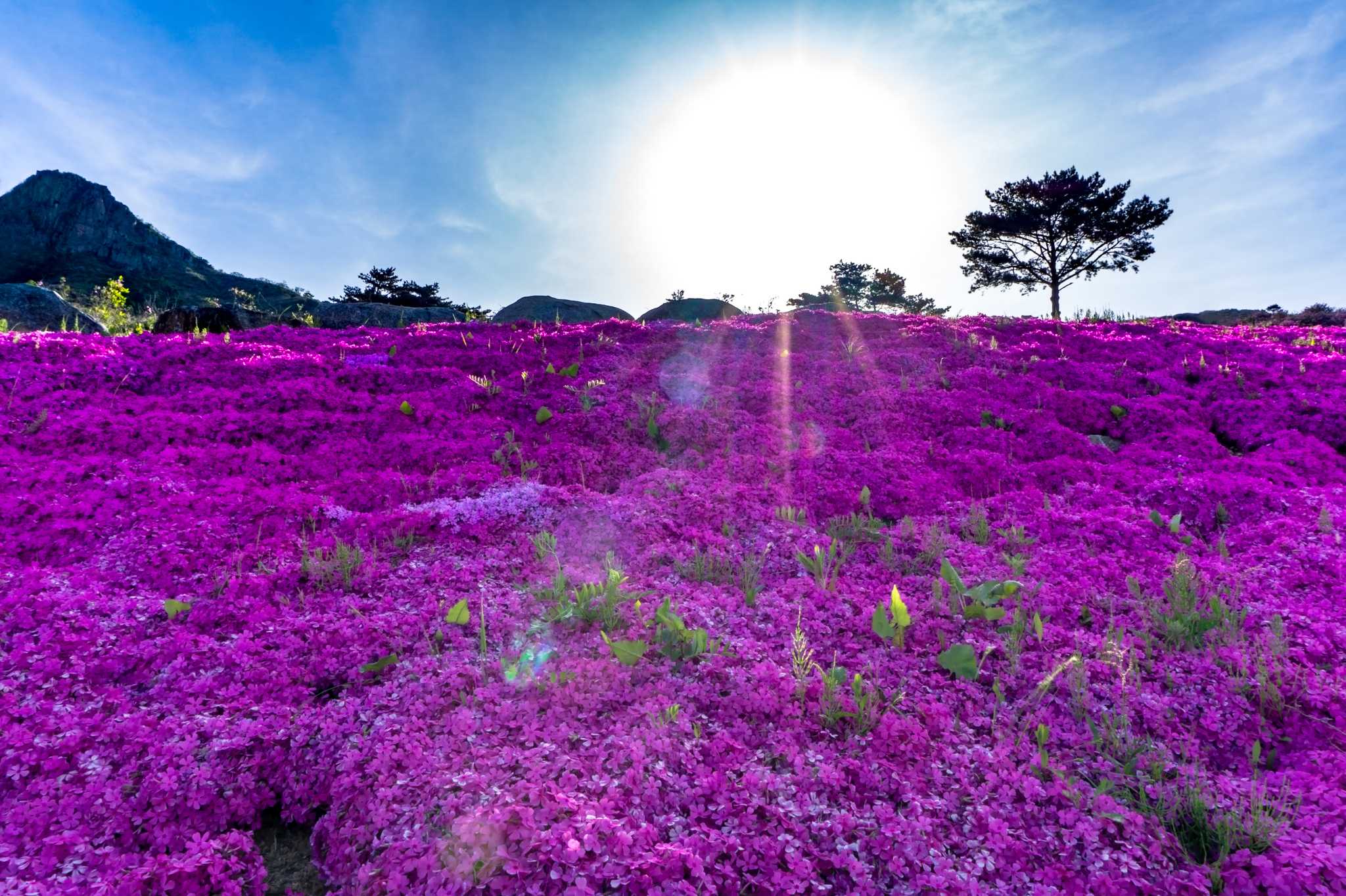 Reiseroute Stop in Hwangmaesan County Park auf privatem Tagesausflug von Busan