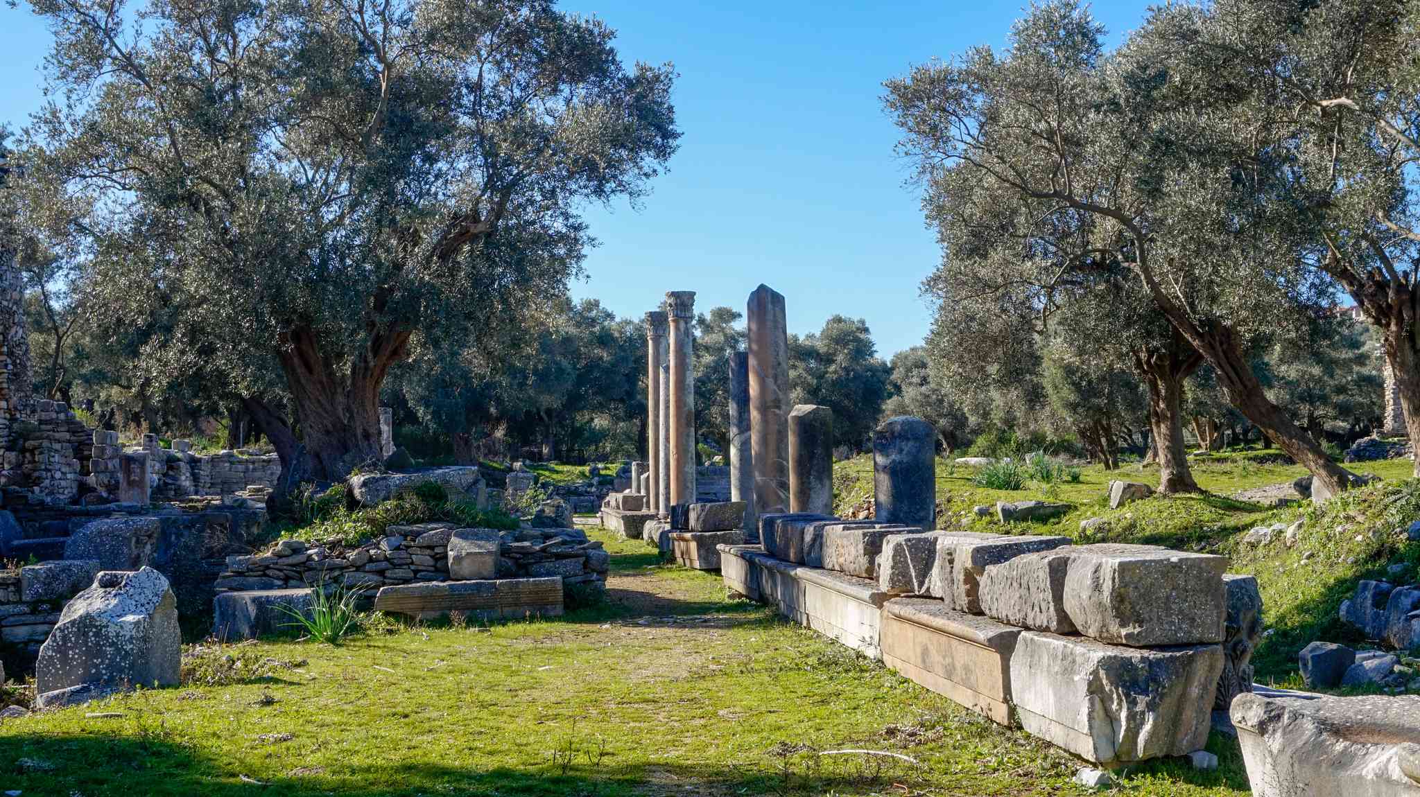 Blick auf die Landschaft von Bodrum - private Tagesreise von Bodrum - Foto 4