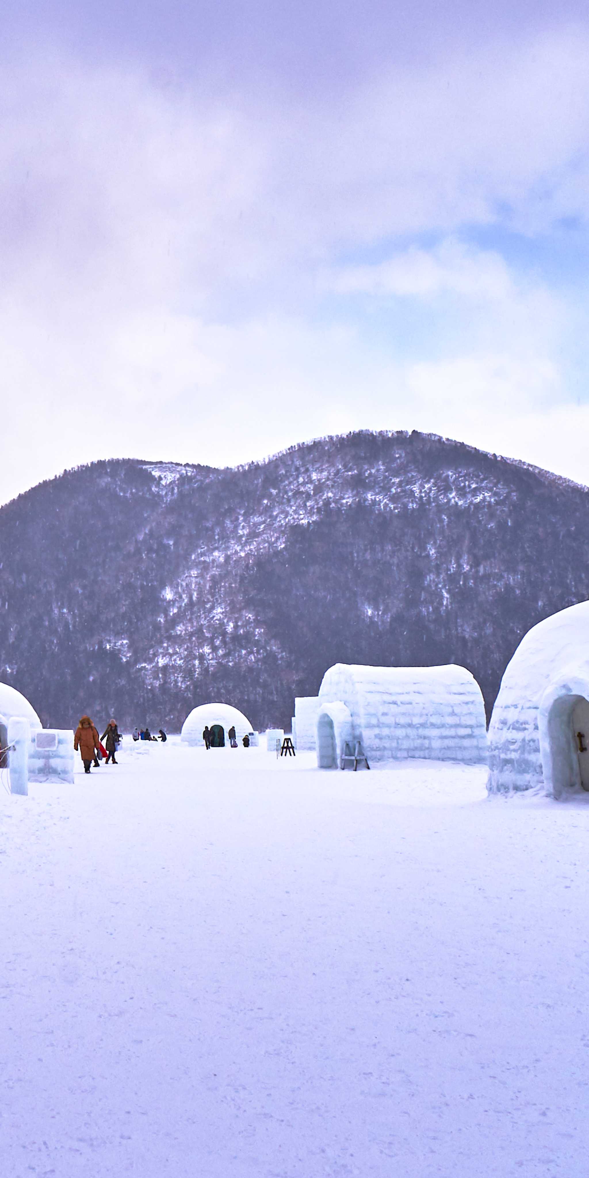 Ice Village