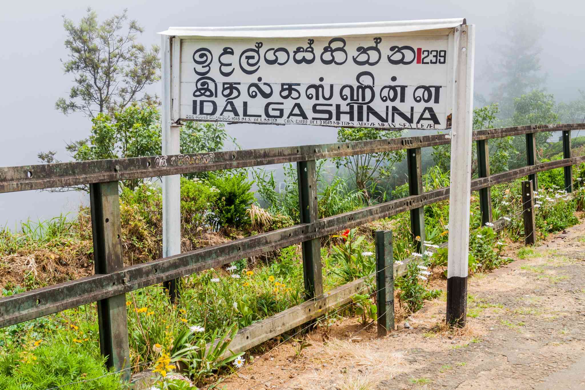 Kandy 的风景 - 从 Idalgashinna 出发的私人 一日游 - 照片 8