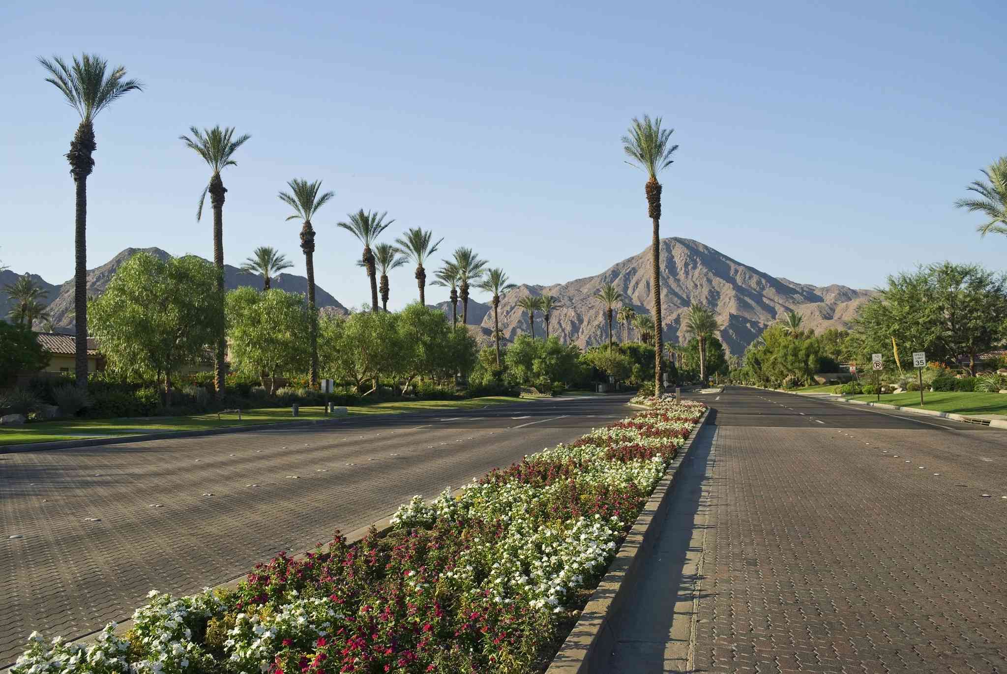 Vista cênica de Indian Wells, CA - excursão particular de um dia de Burbank - foto 2