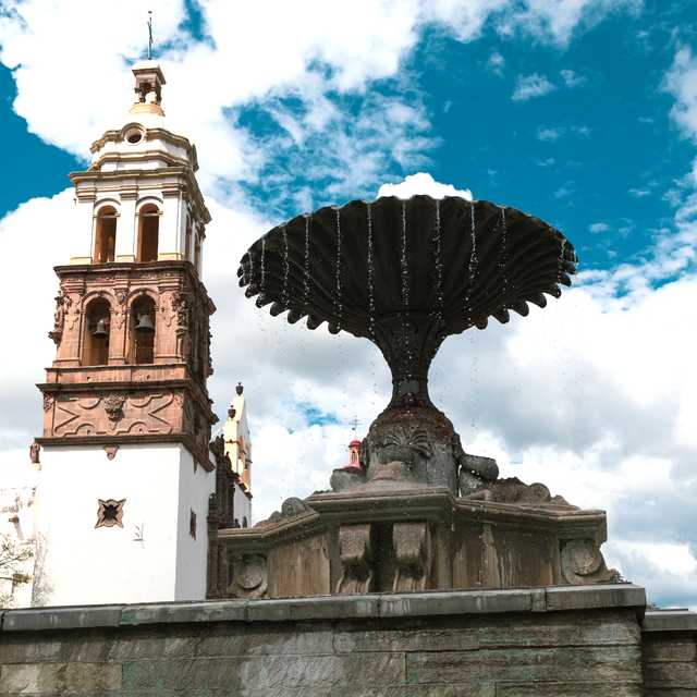 Leon de Los Aldama to Salamanca and Irapuato: Day trip