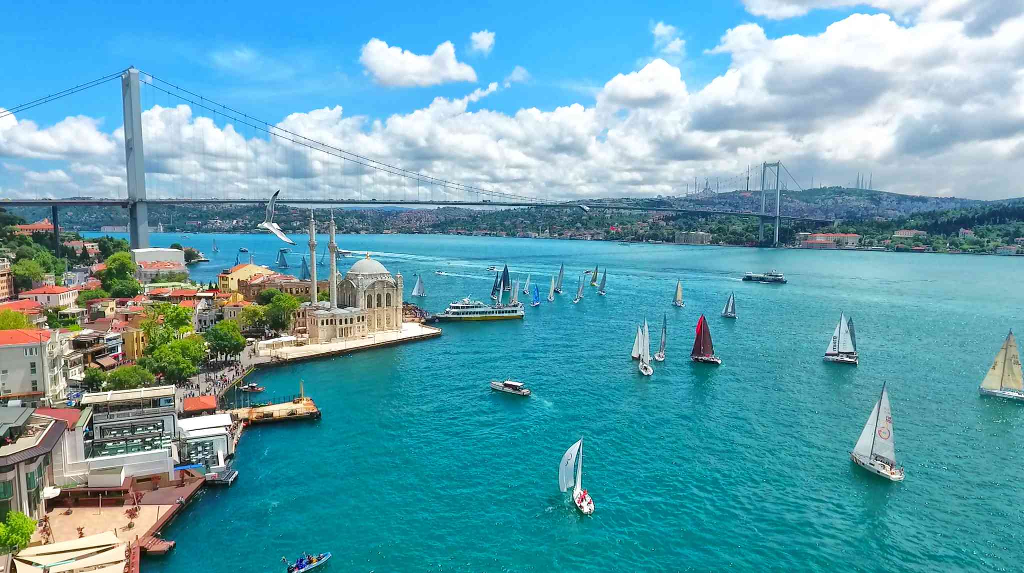 Selcuk 的风景 - 从 Istanbul 出发的私人 一日游 - 照片 7