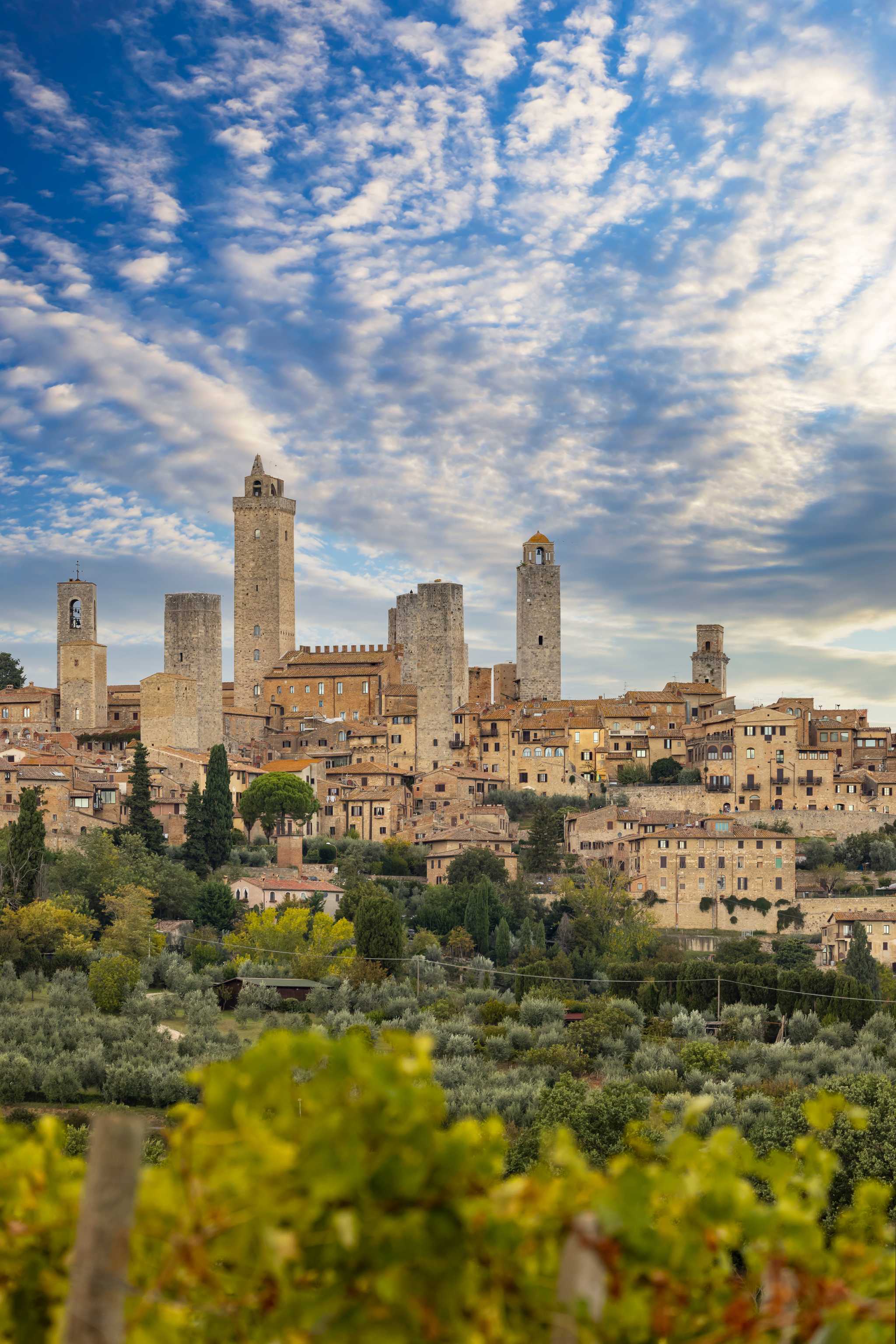 San Gimignano under a cloudy blue sky, green foliage in the foreground.