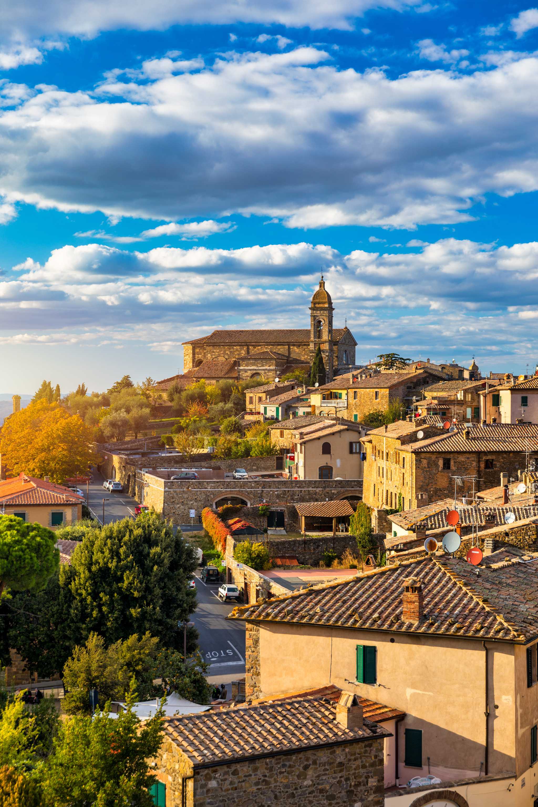 Montalcino under a cloudy blue sky, with green and orange foliage on the bottom left.