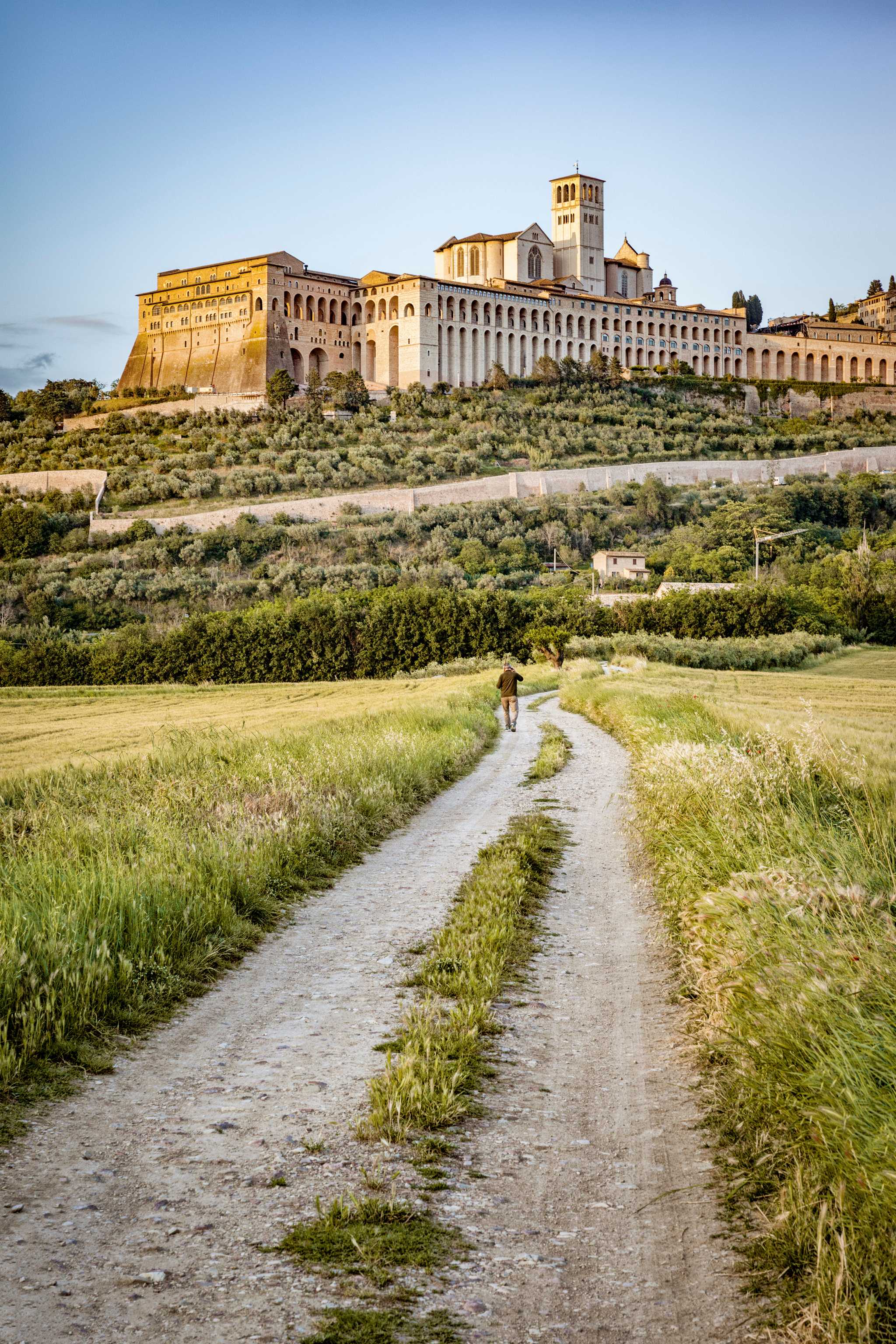 Unpaved path through the grass leading to Assisi on a hill.