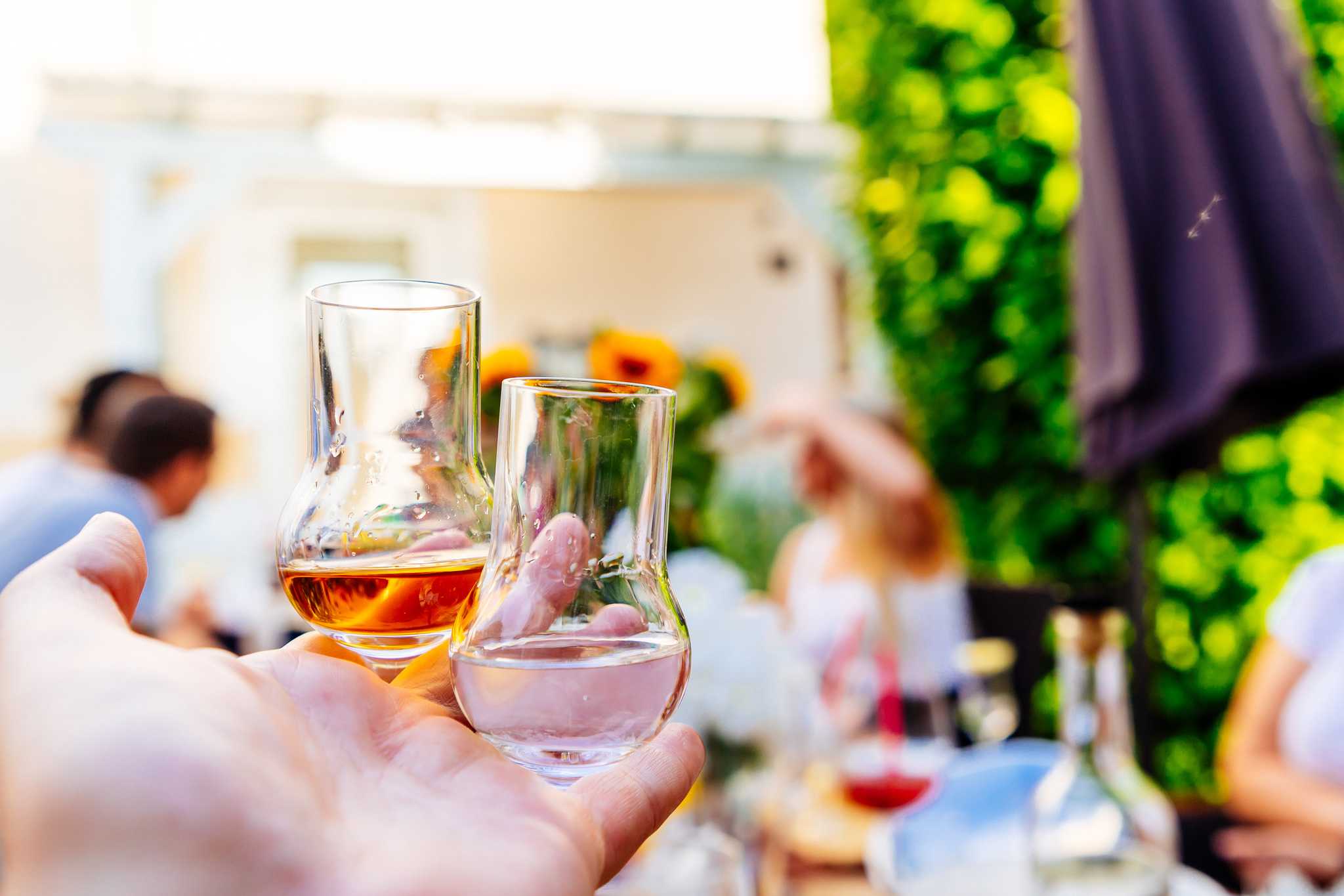 Hand holding two small glasses of grappa, one brown and one clear.