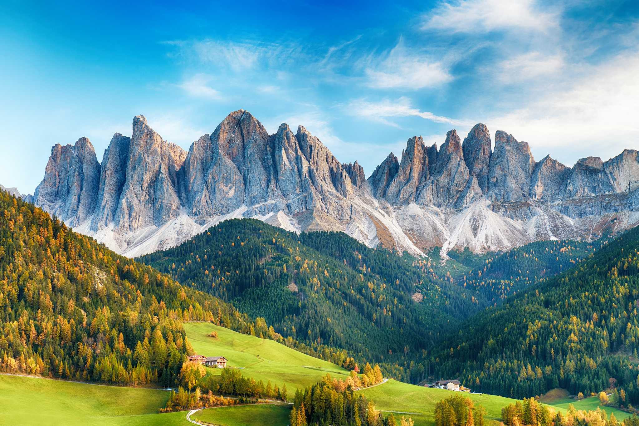 Jagged peaks of the Dolomites with green forests in the foreground.