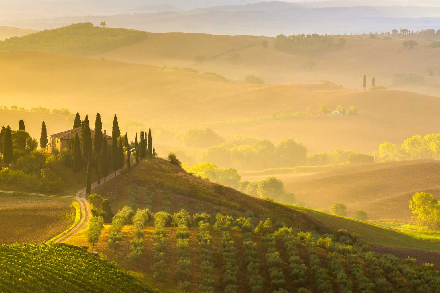 Tailored trips for Italy's Best Wine Regions | Where to Go, What to Drink - Private transfers by Daytrip