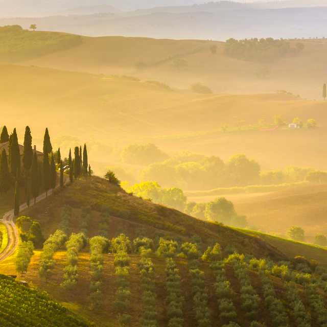 Inspiration de voyages pour Italy's Best Wine Regions | Where to Go, What to Drink - Excursions privées d'une journée par Daytrip