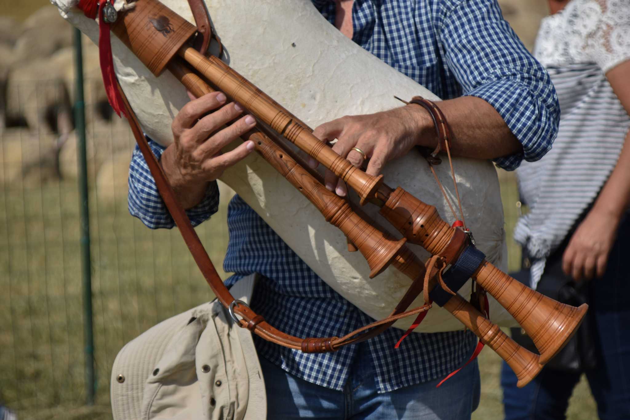 Close-up of Italian bagpipe, held by a player in a blue gingham shirt.