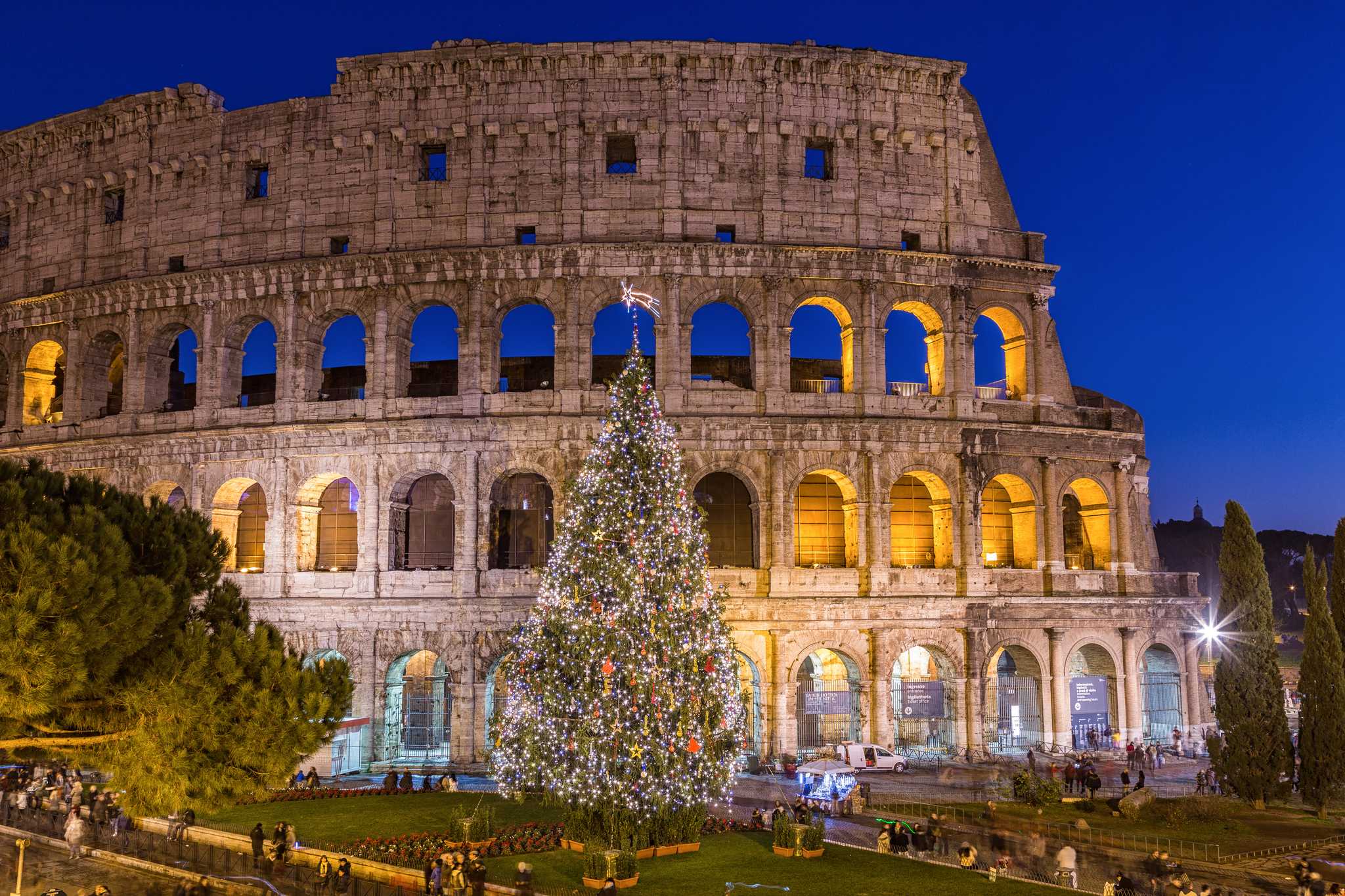 Nighttime shot of the Colosseum with a lighted Christmas tree in front.