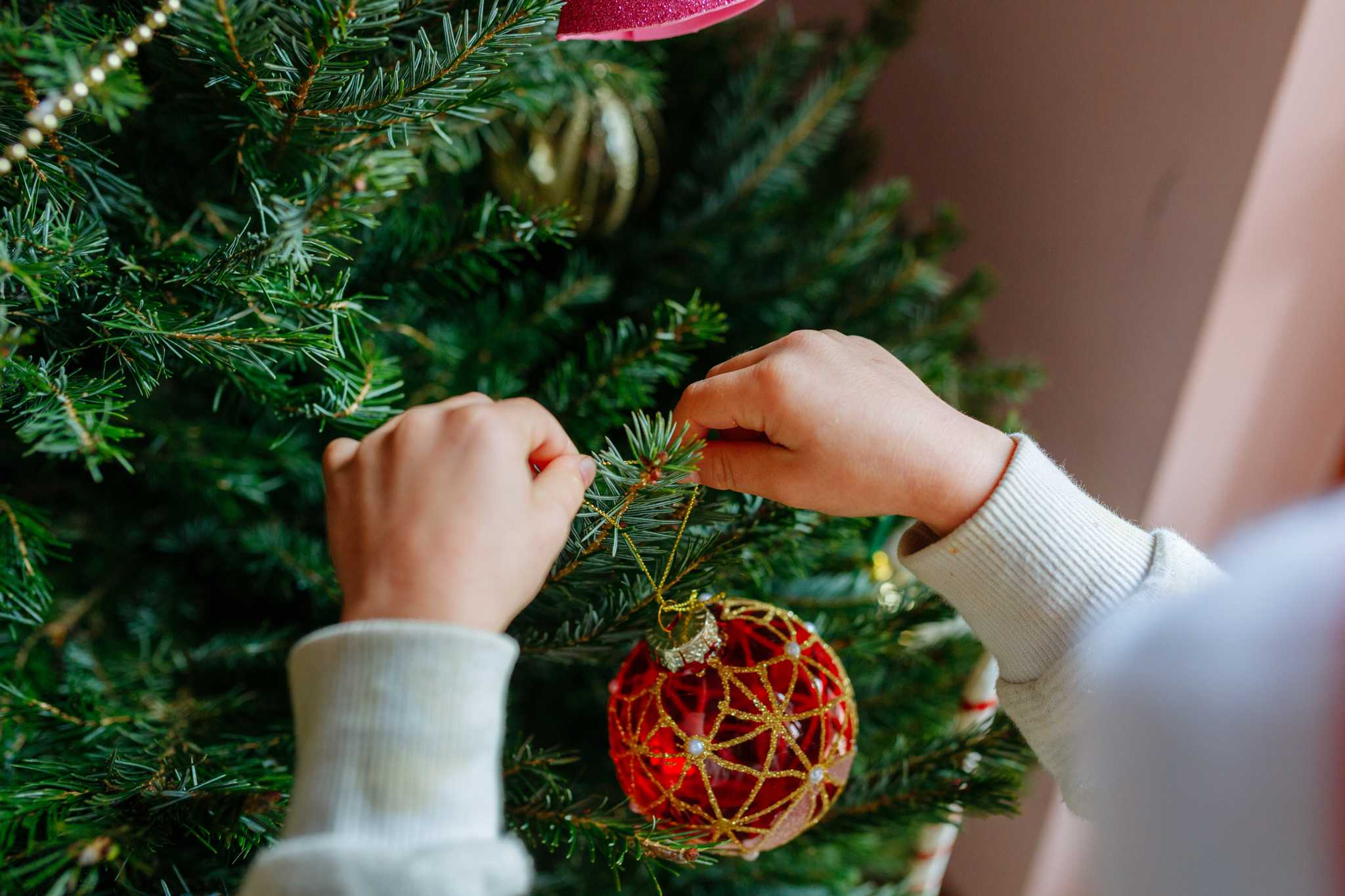 Woman’s hands tying a red and gold ornament to a Christmas tree branch.