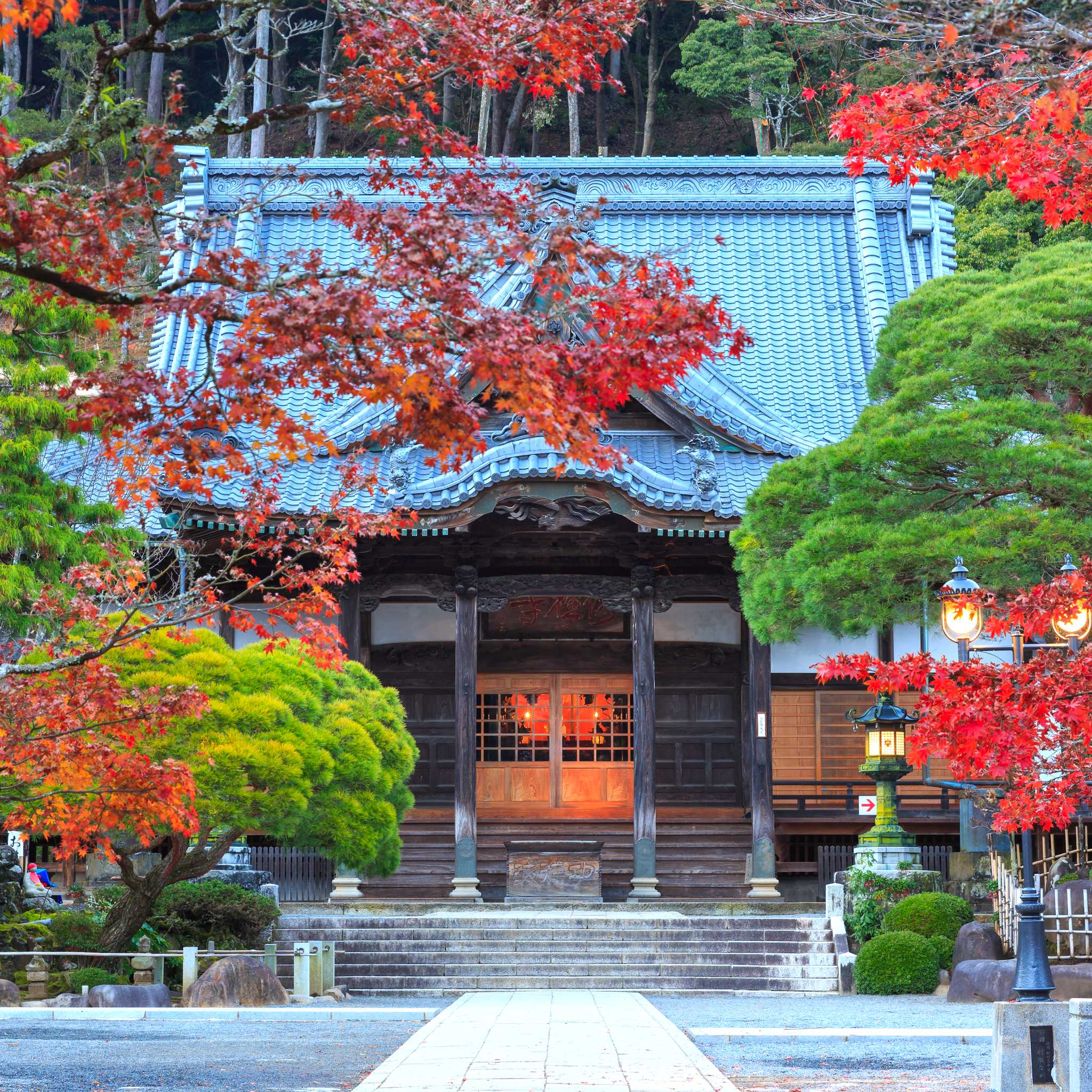 Izu