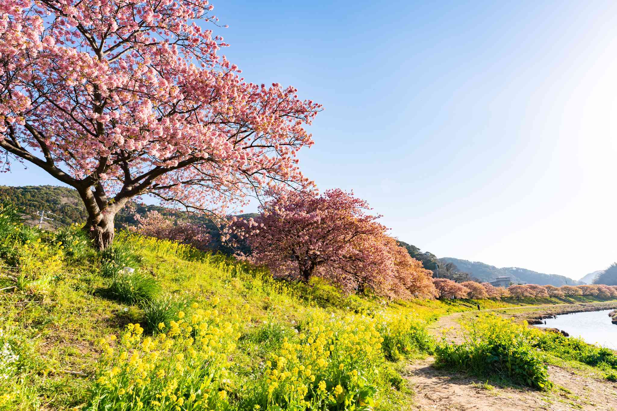 Blick auf die Landschaft von Izu - private Tagesreise von Tokyo - Foto 3