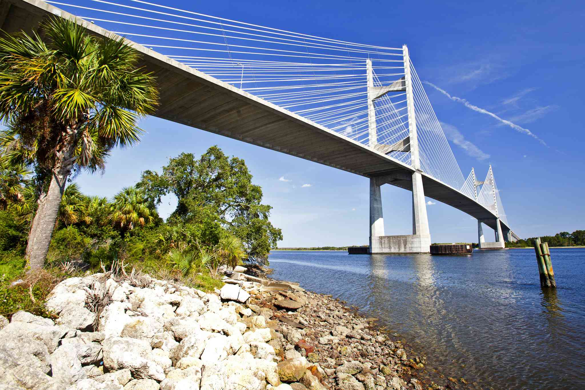 Vista panorámica de Jacksonville, FL - excursión privada de un día desde Destin–Fort Walton Beach Airport - foto 4