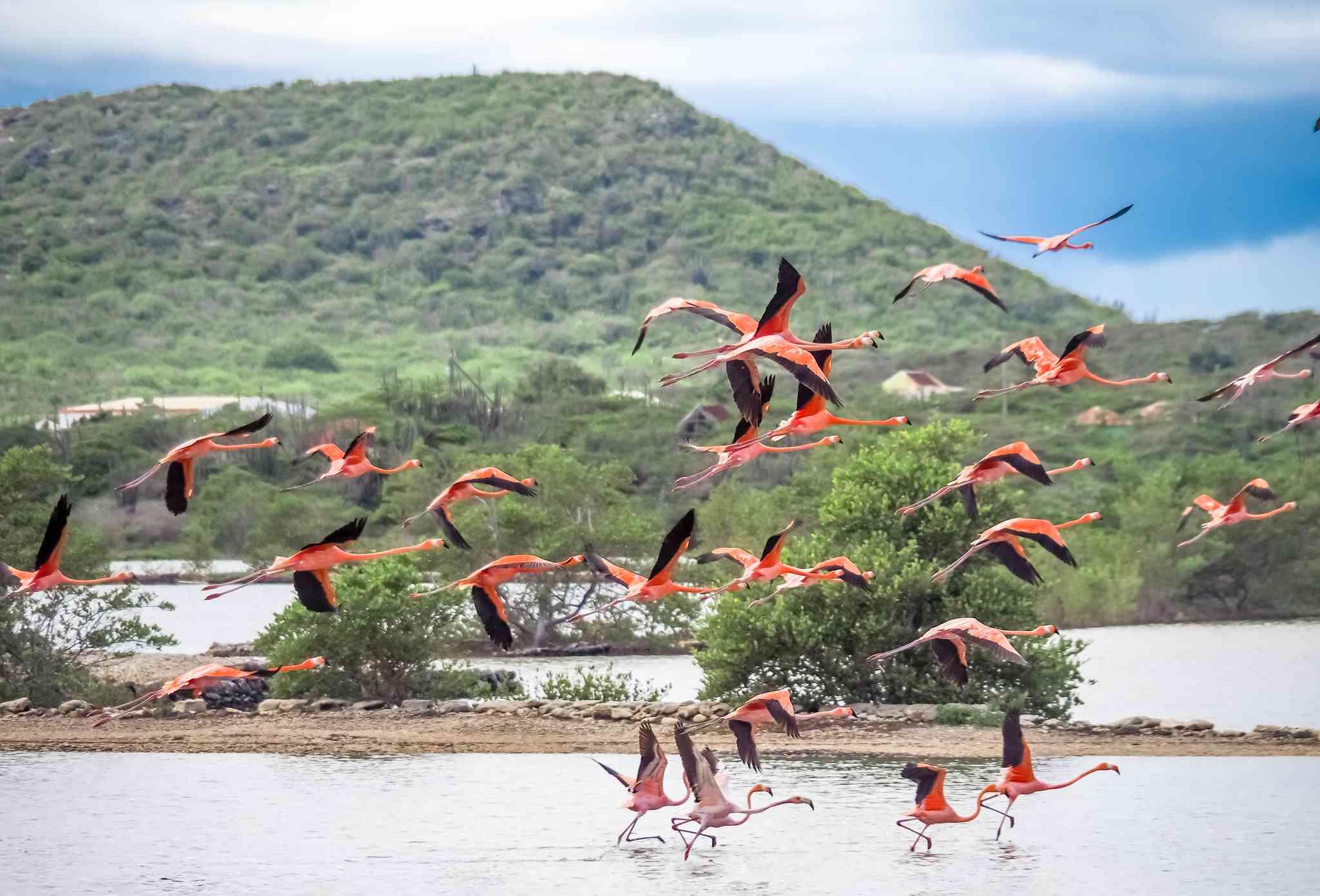 Blick auf die Landschaft von Curacao Airport - private Tagesreise von Jan Kok - Foto 7