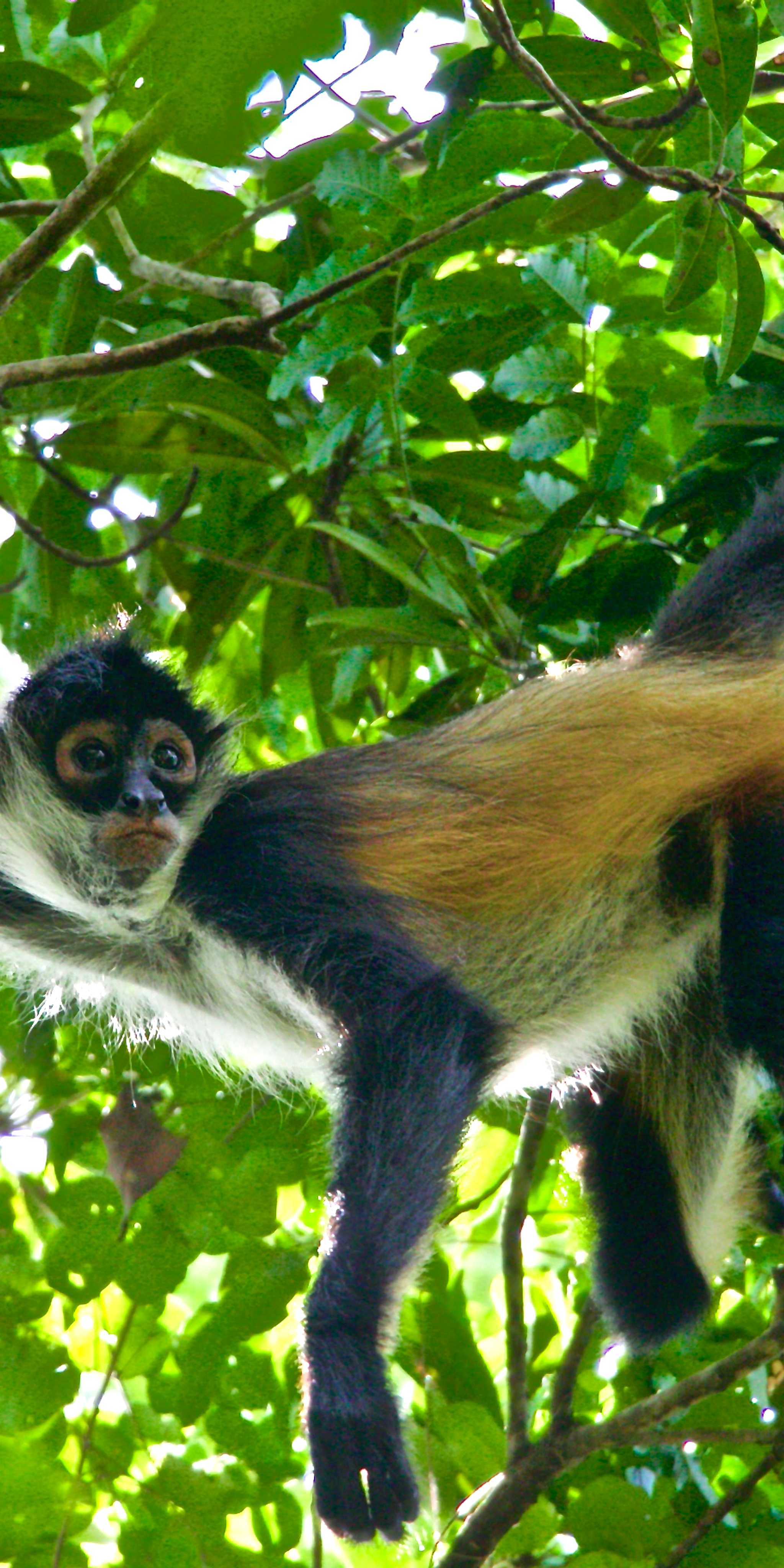 Jardin Botanico Dr. Alfredo Barrera Marin