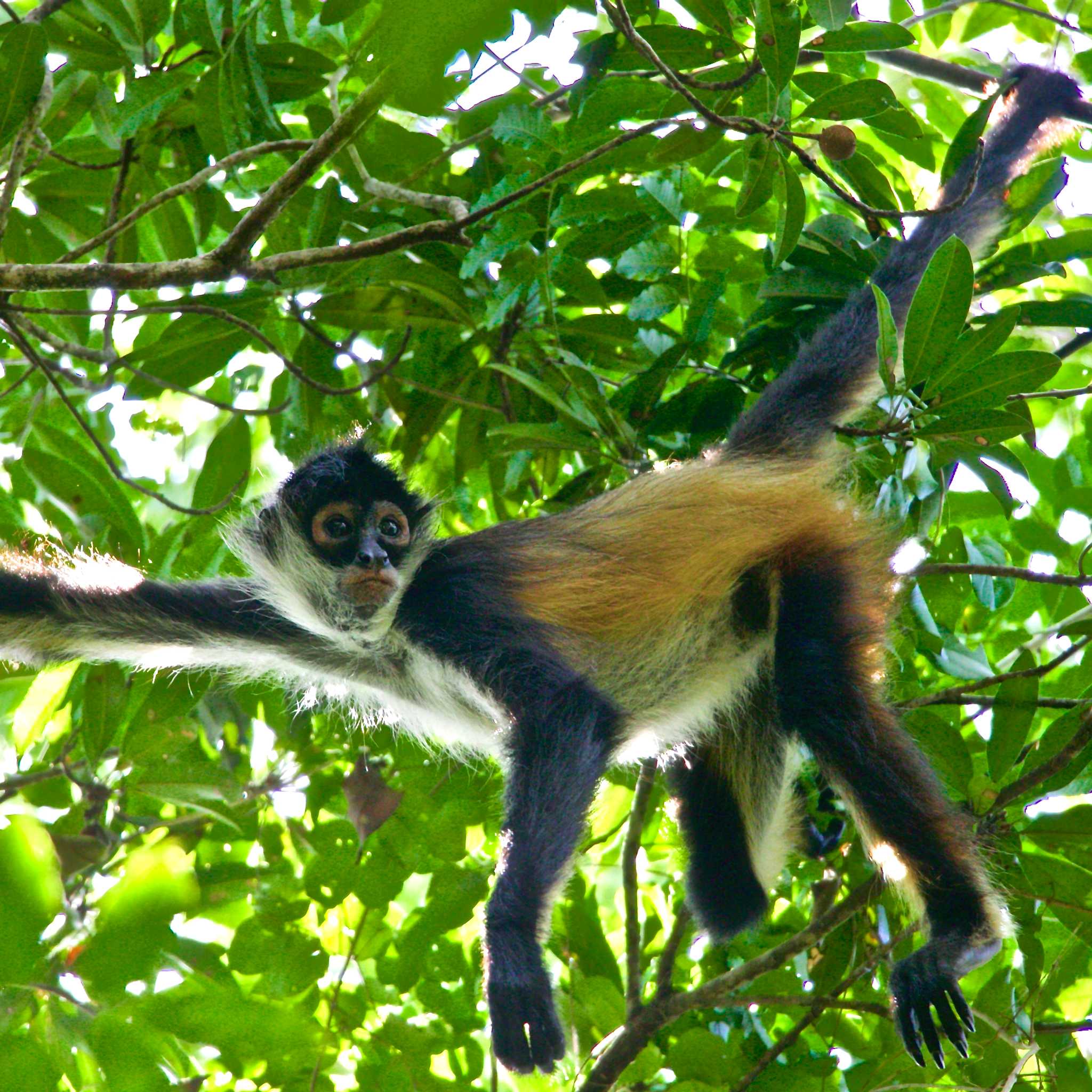 Jardin Botanico Dr. Alfredo Barrera Marin