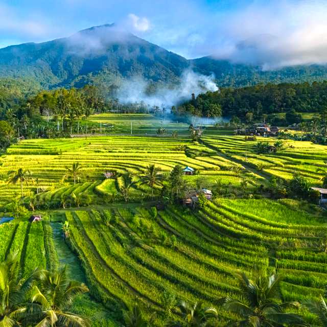 Indonesia