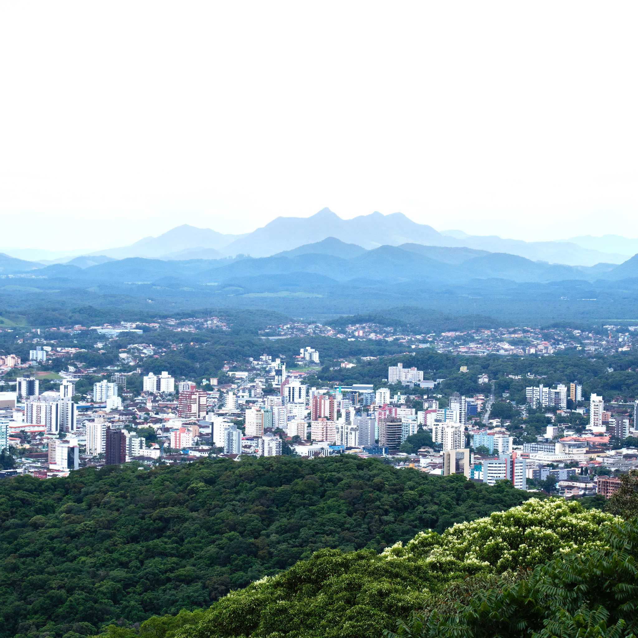 Joinville