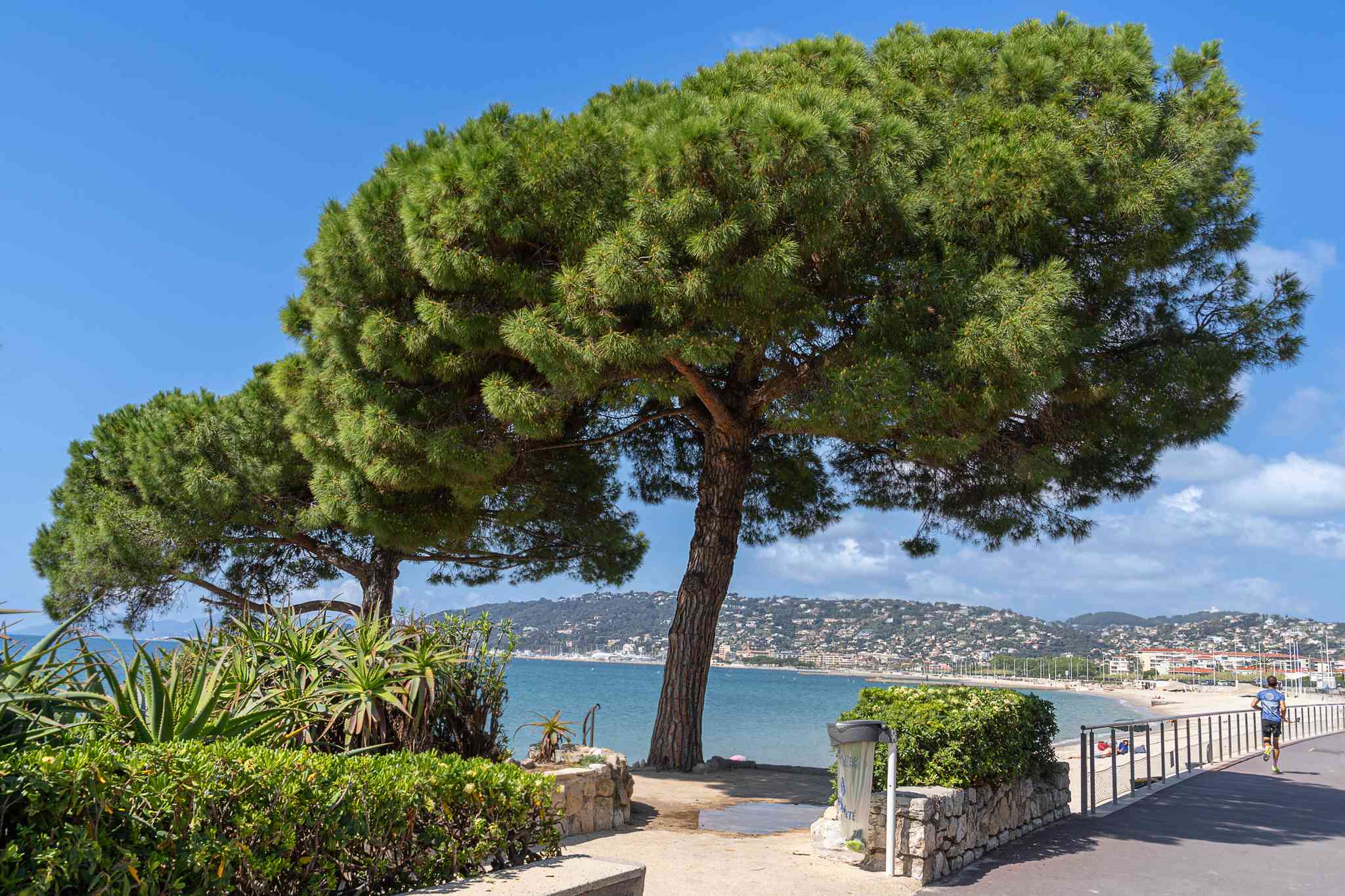 Vacker vy över Juan-les-Pins - privat dagsutflykt från Aix-en-Provence - foto 3