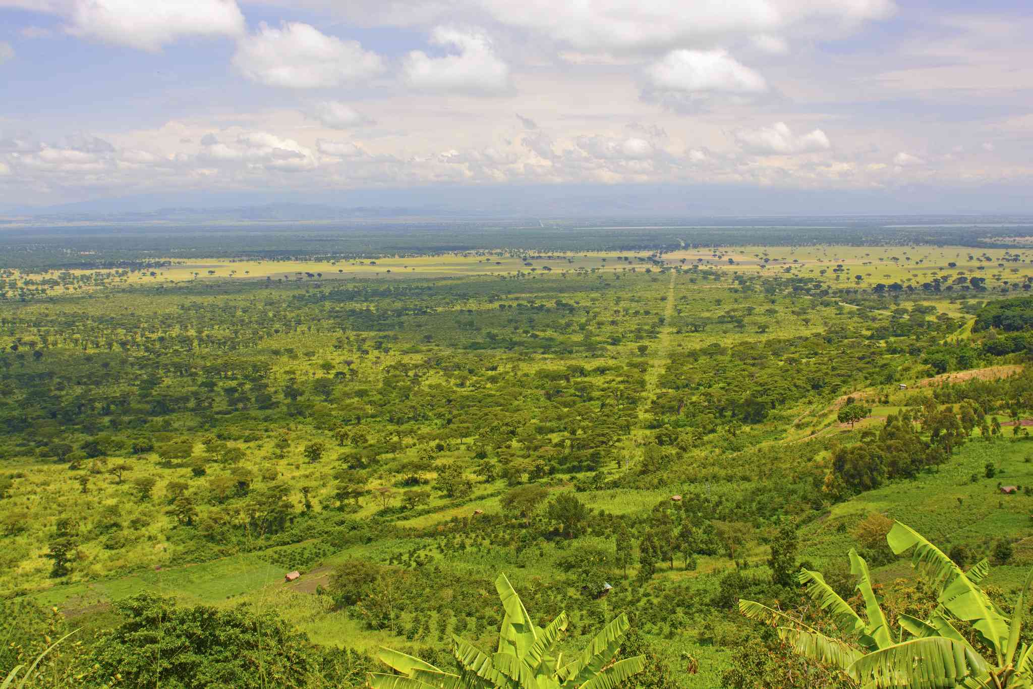 Blick auf die Landschaft von Kabale - private Tagesreise von Mbarara - Foto 2