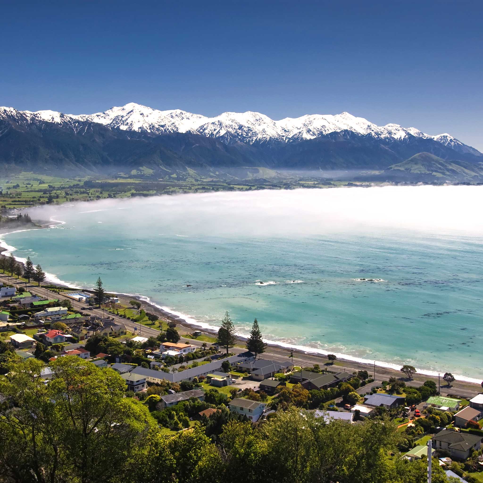 Kaikoura