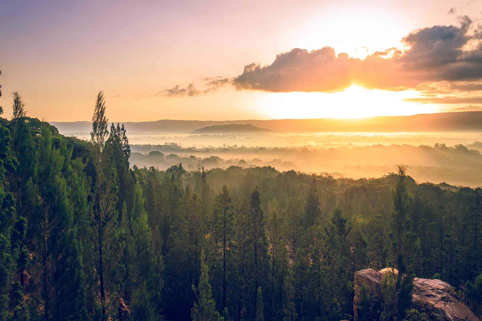 Vista cênica de Kisumu - excursão particular de um dia de Kakamega - foto 4