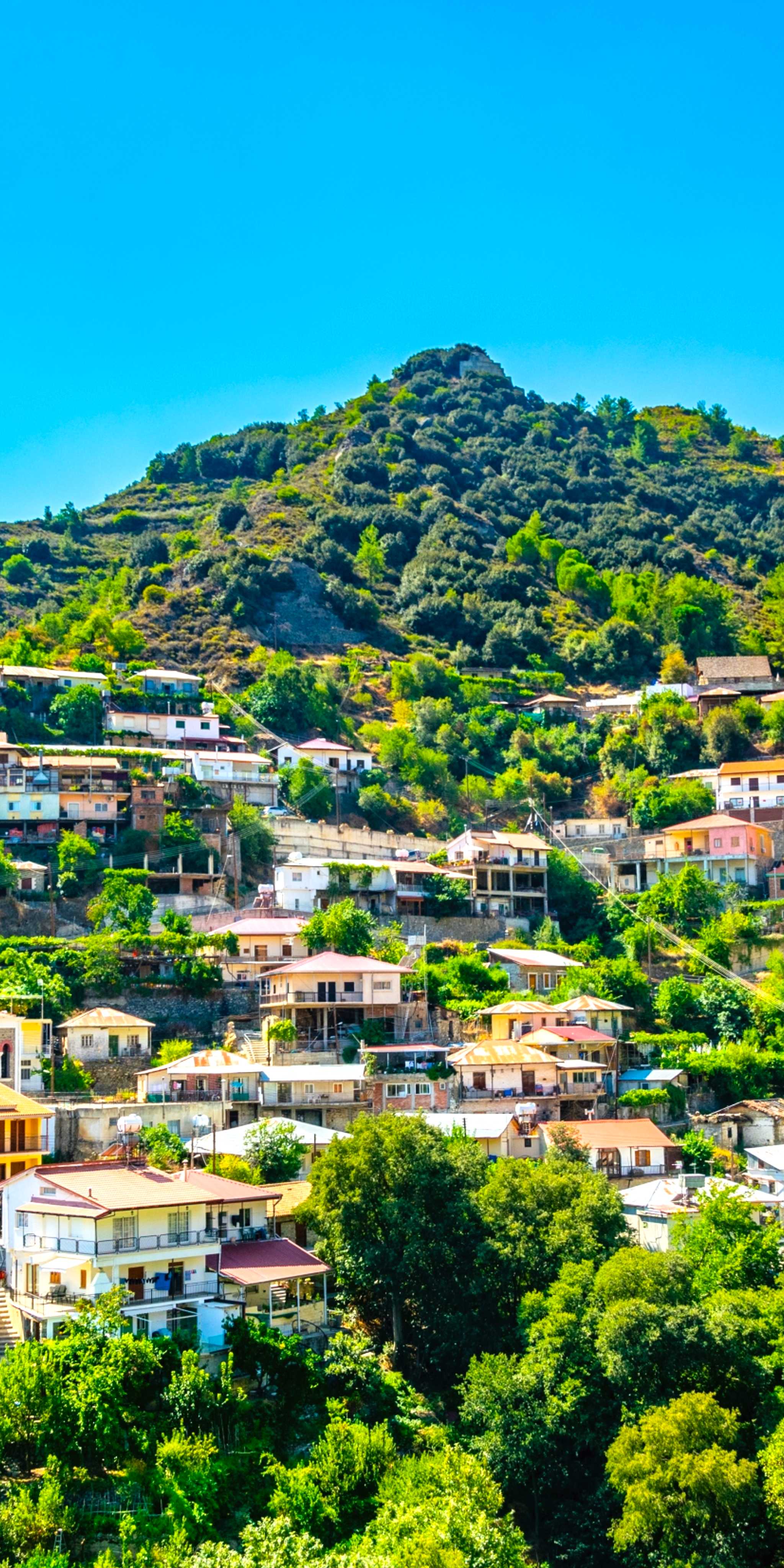 卡洛帕纳吉奥提斯