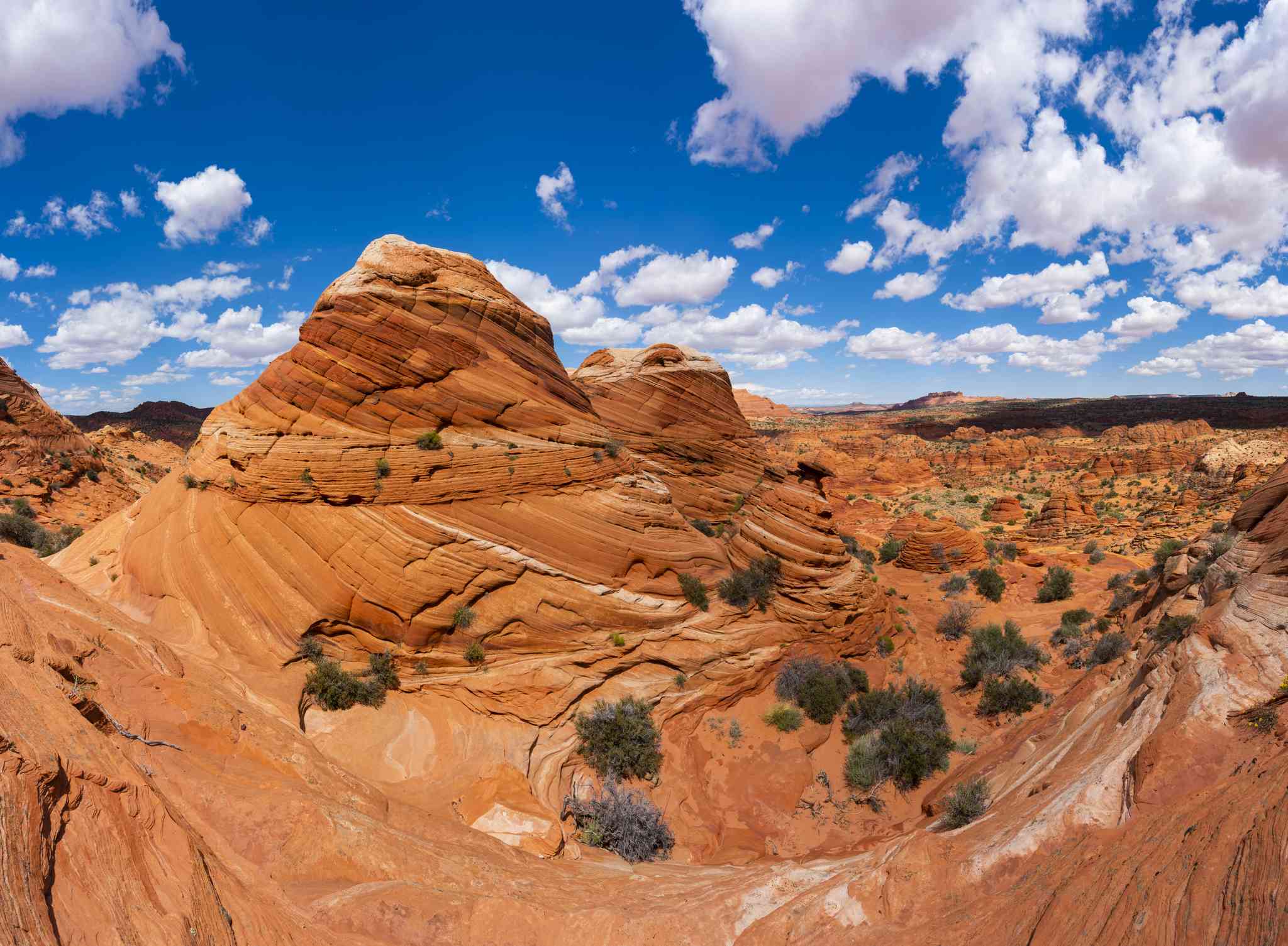 Vue pittoresque de Las Vegas - excursion privée d'une journée depuis Kanab - photo 5
