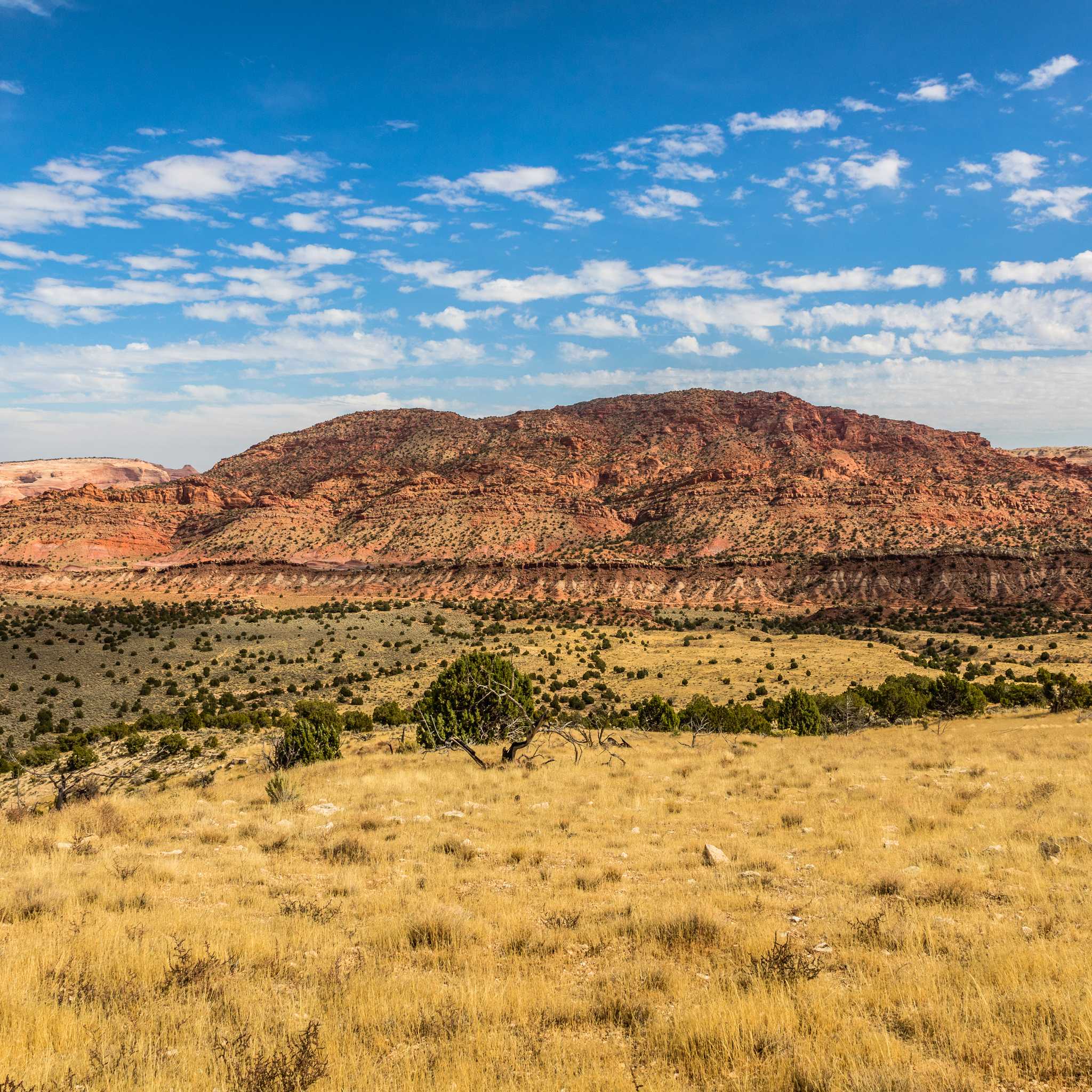 Kanab