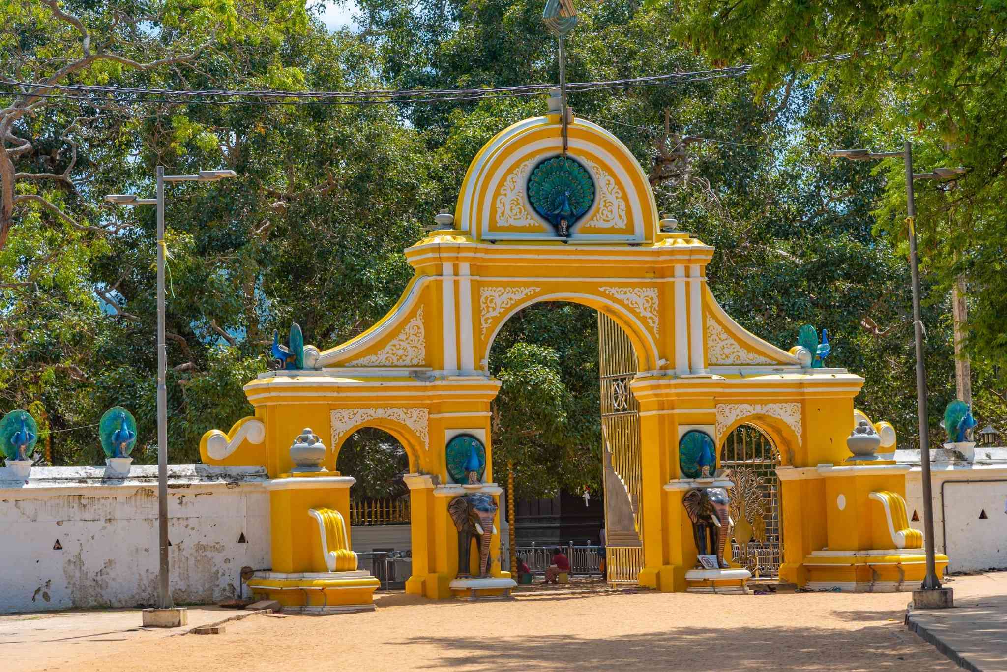 Vista cênica de Ratmalana - excursão particular de um dia de Kataragama - foto 5