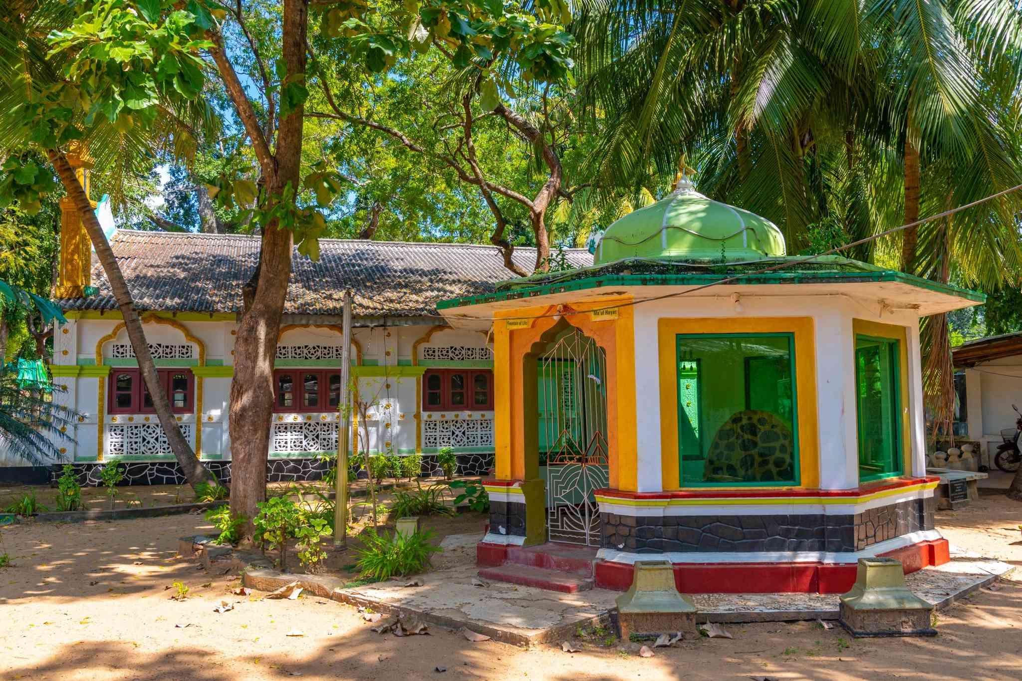 Vista cênica de Ratmalana - excursão particular de um dia de Kataragama - foto 3