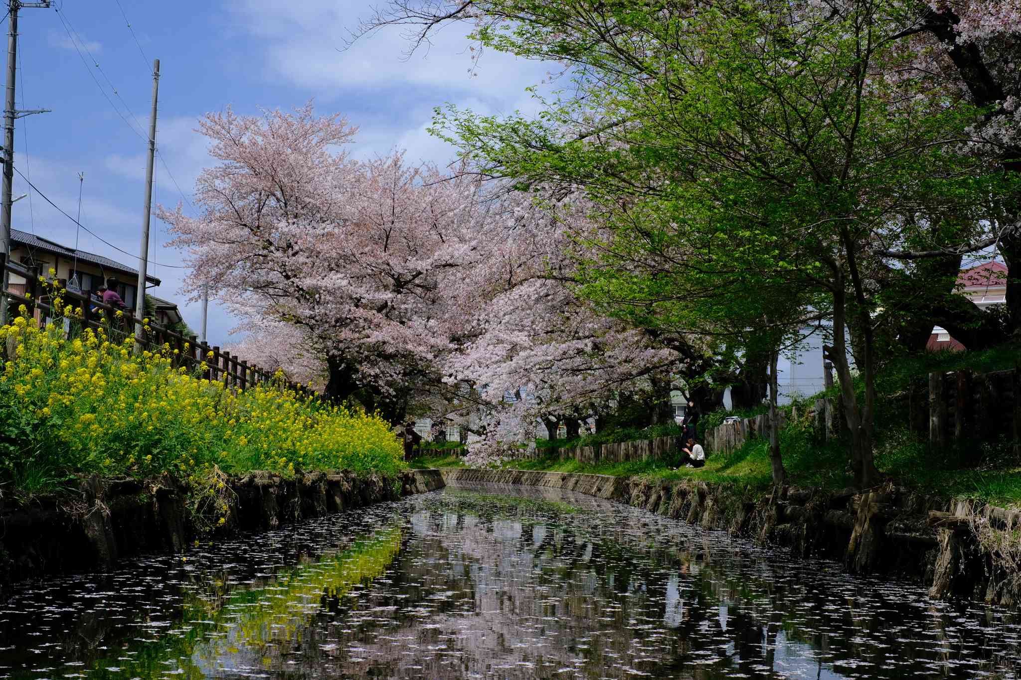 Vista panorámica de Kawagoe - excursión privada de un día desde Haneda Airport - foto 4