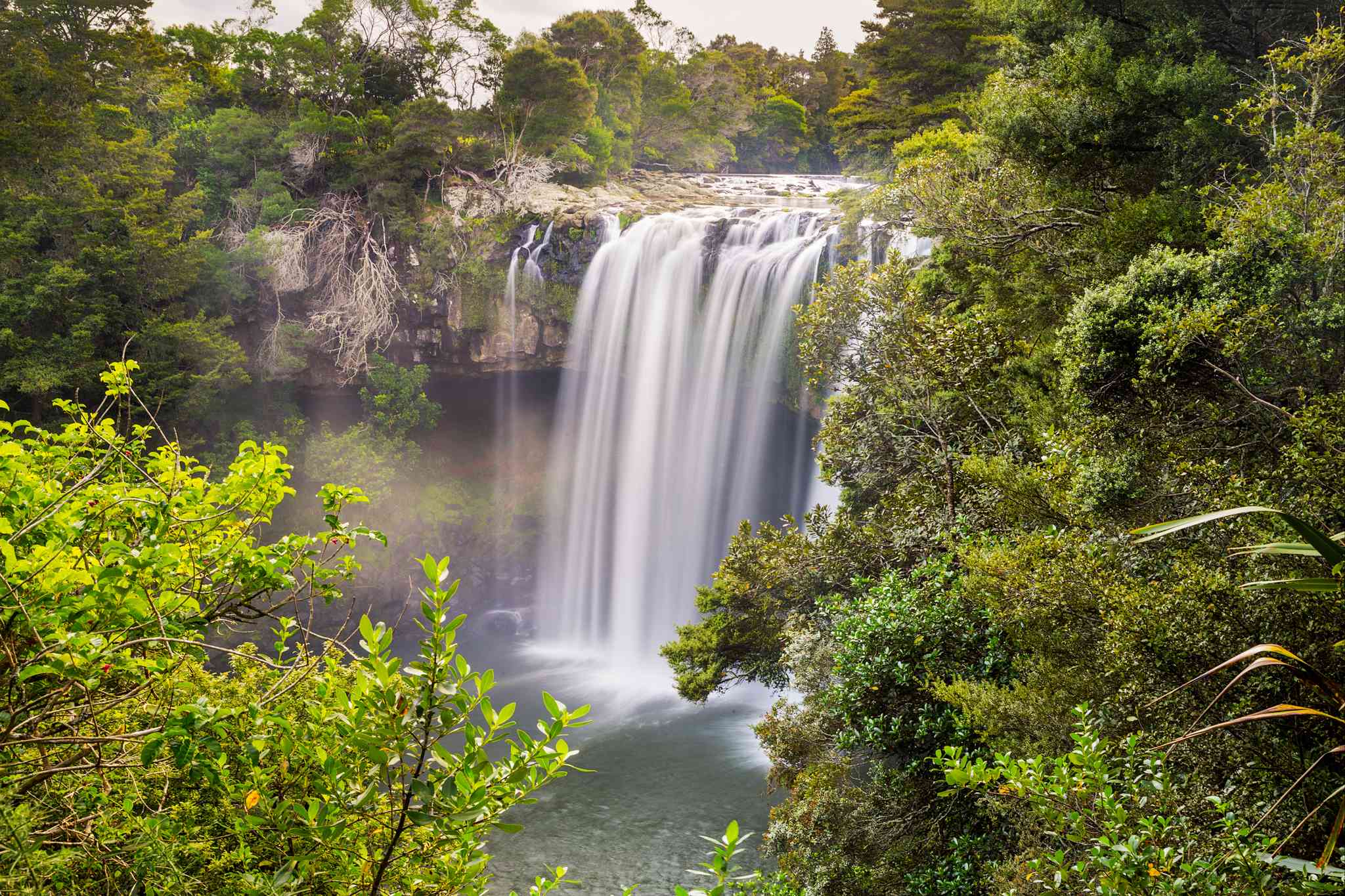 Vista cênica de Auckland - excursão particular de um dia de Kerikeri - foto 6