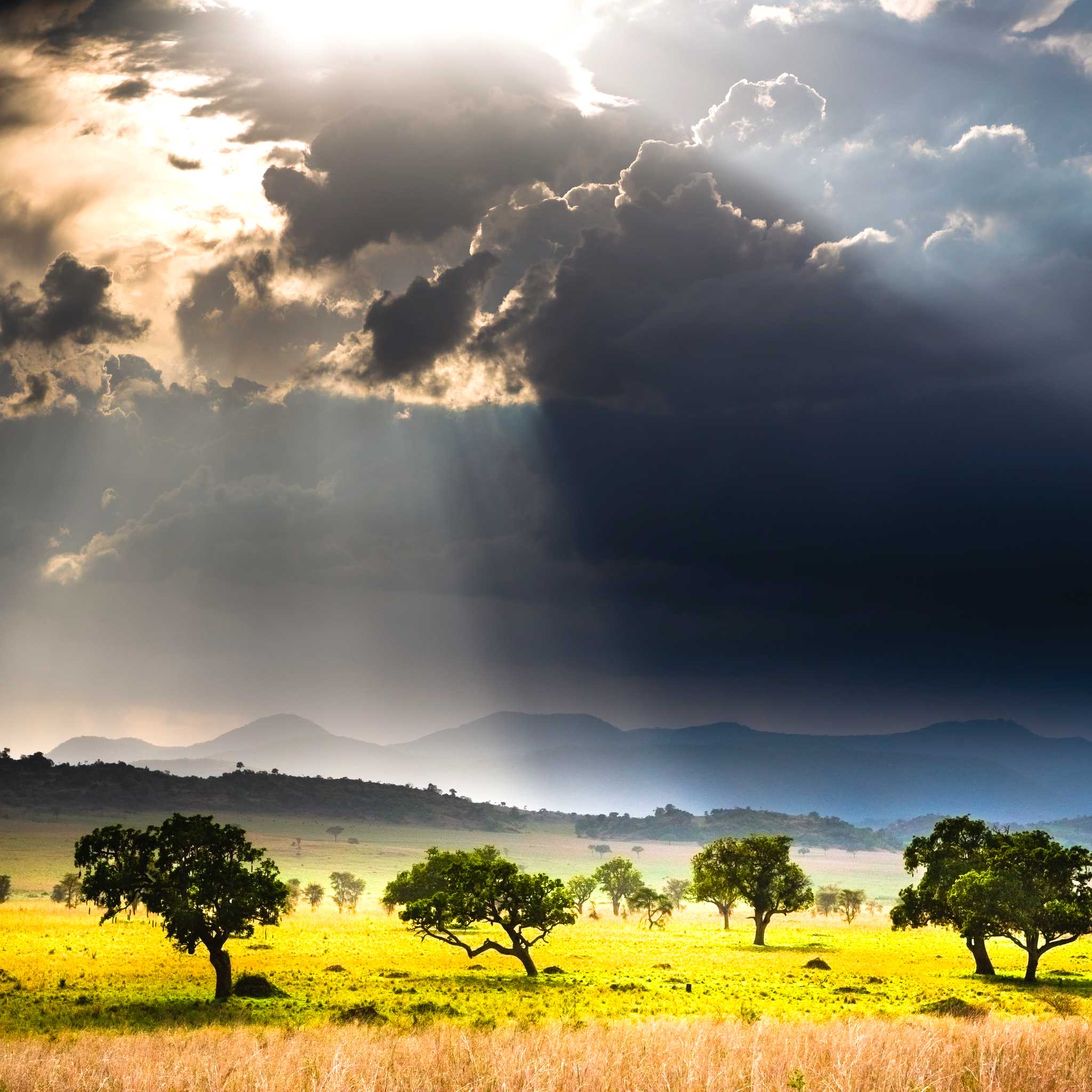 Kidepo Valley National Park