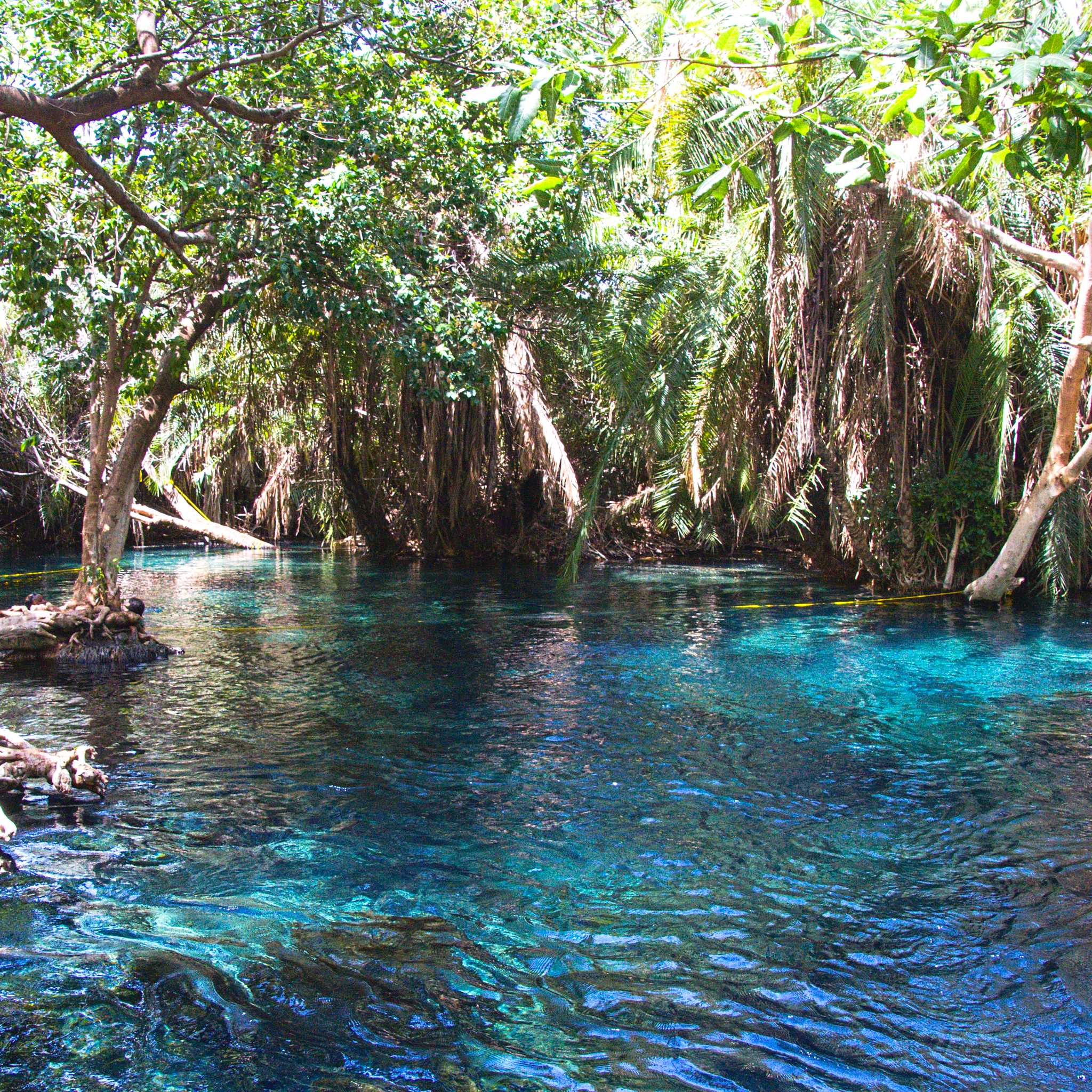 Private car transfers in Tanzania from Kikuletwa Hot Springs