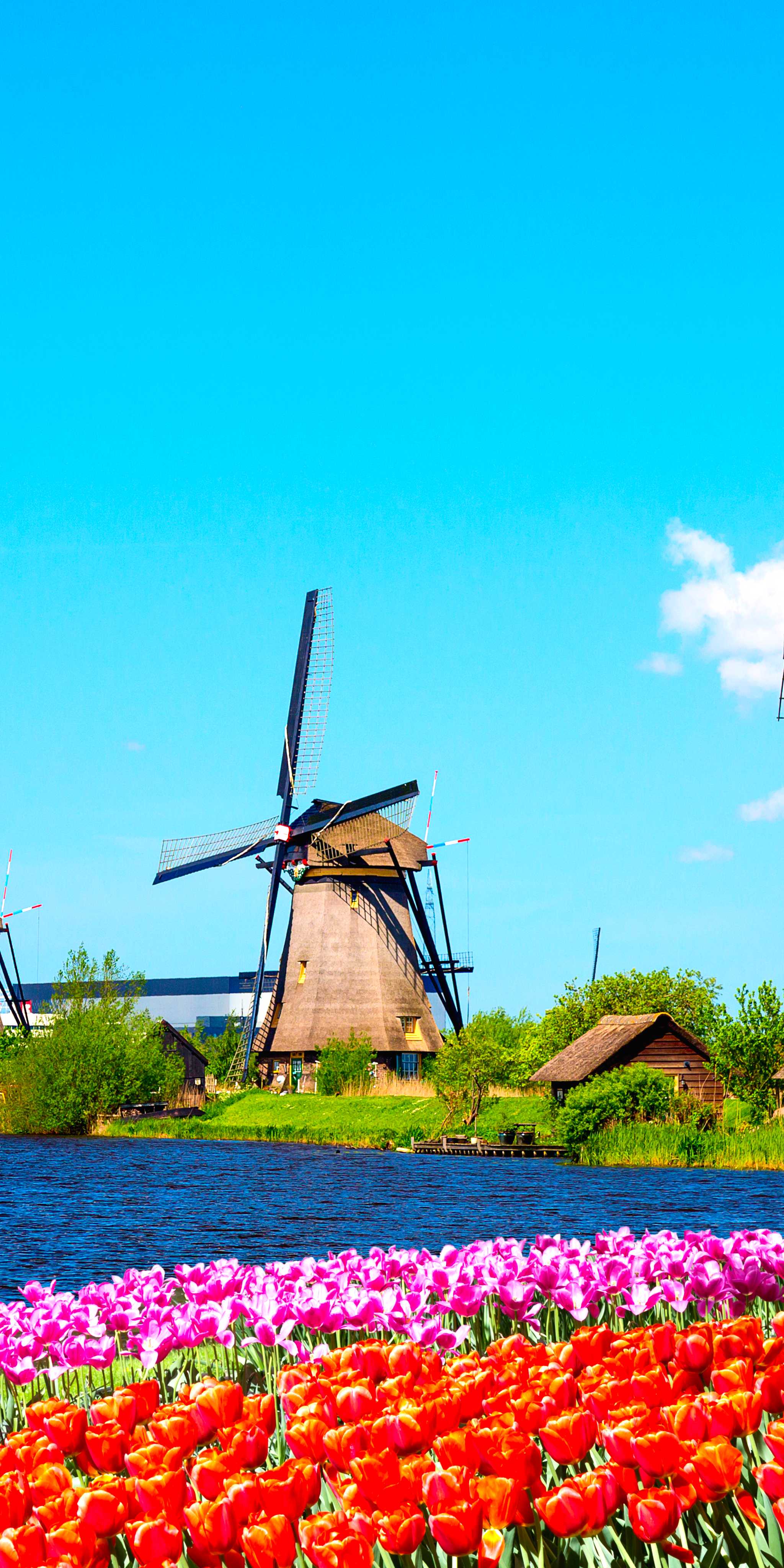 Kinderdijk
